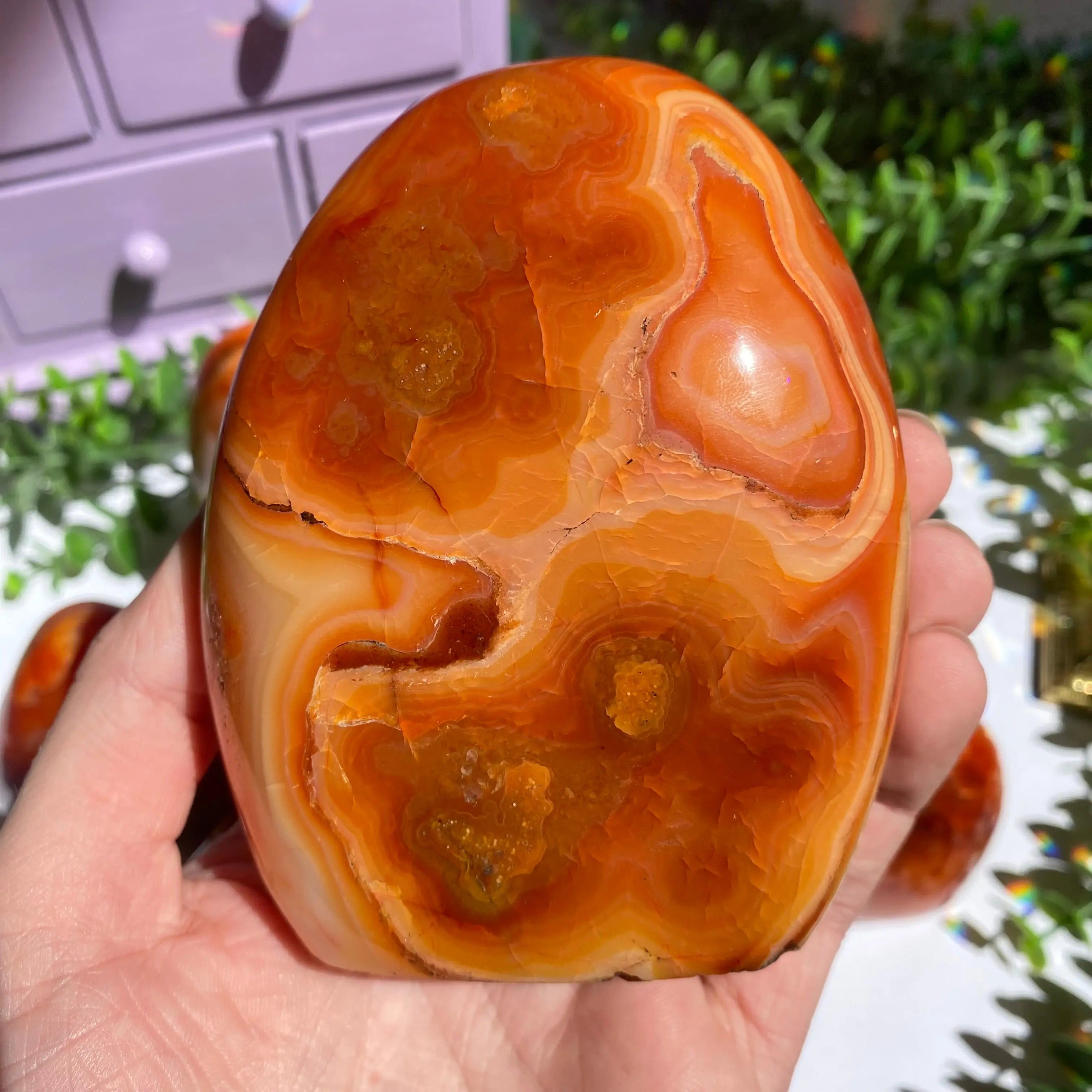Carnelian Agate Free Form for Passion & Creativity