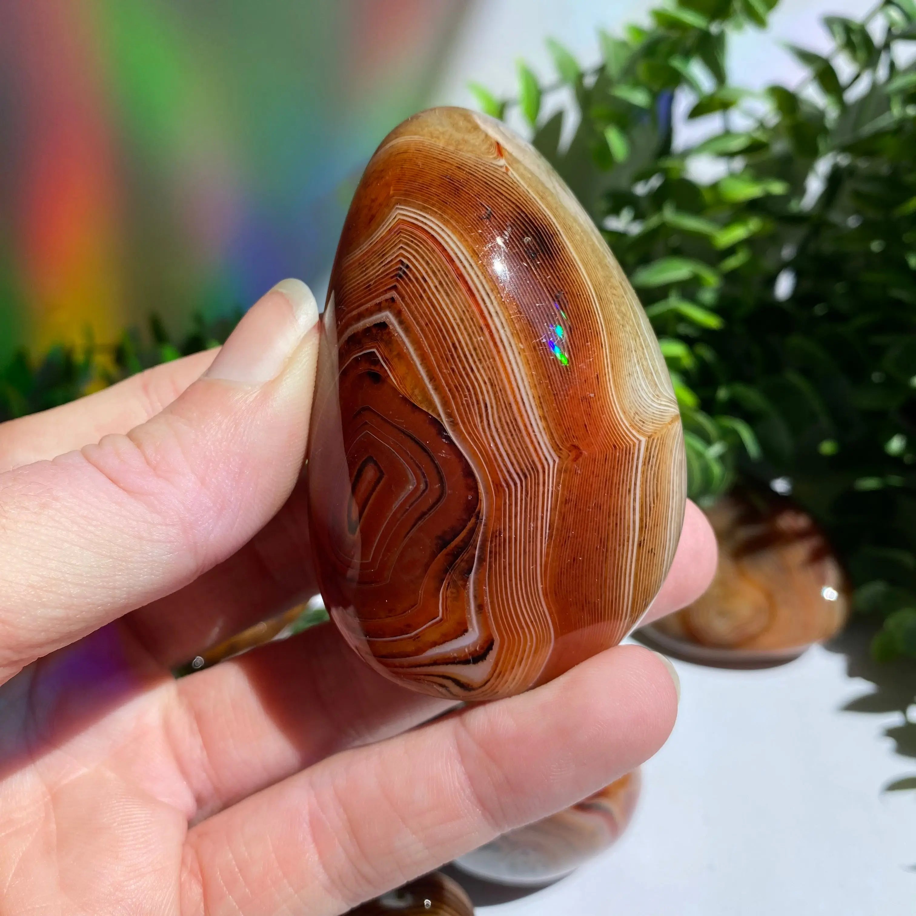 Sardonyx (Carnelian X Onyx) Palm Stone for Passion & Creativity