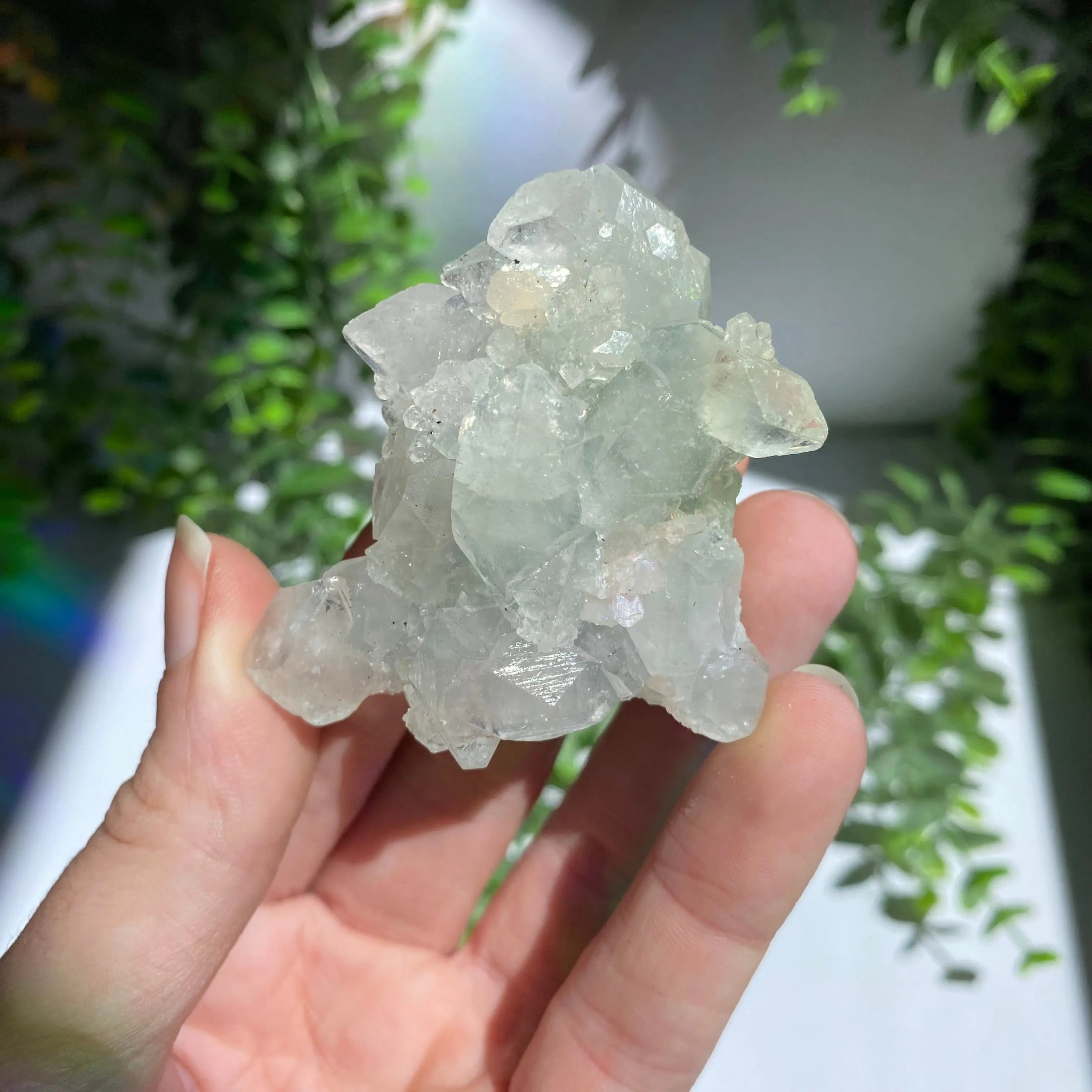 Zeolite Cluster Arabella Crystals