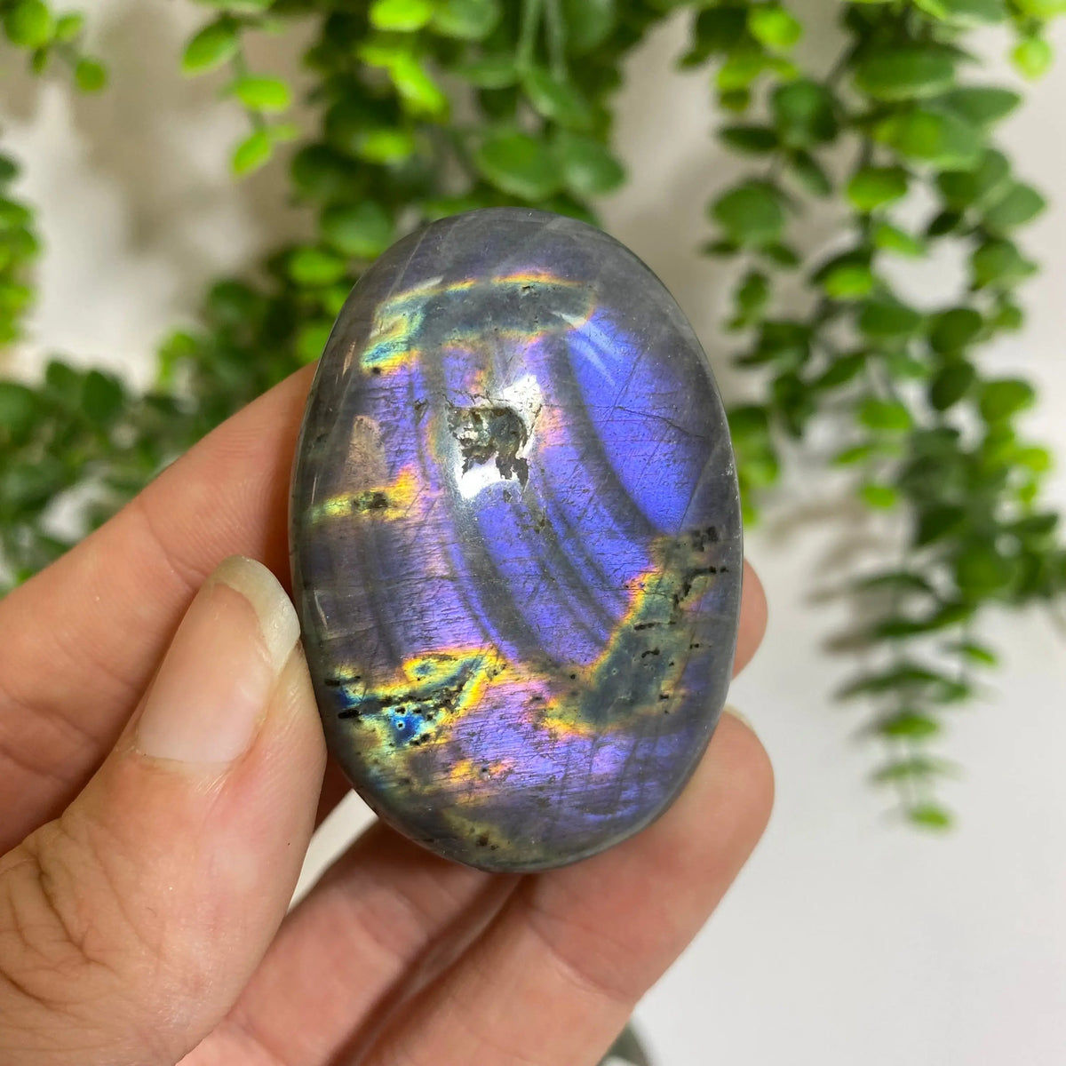 Purple Labradorite Palm Stone Arabella Crystals