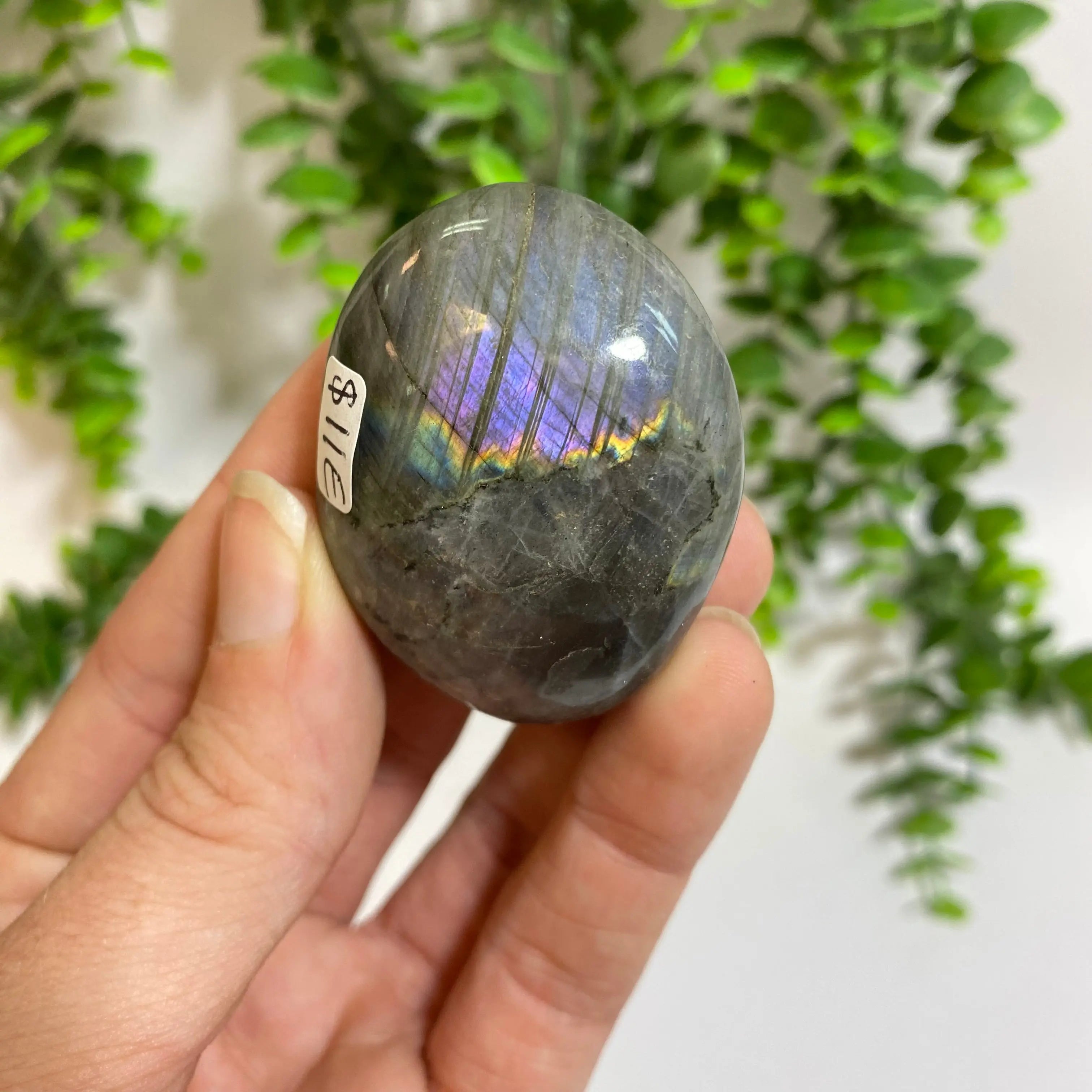 Purple Labradorite Palm Stone Arabella Crystals