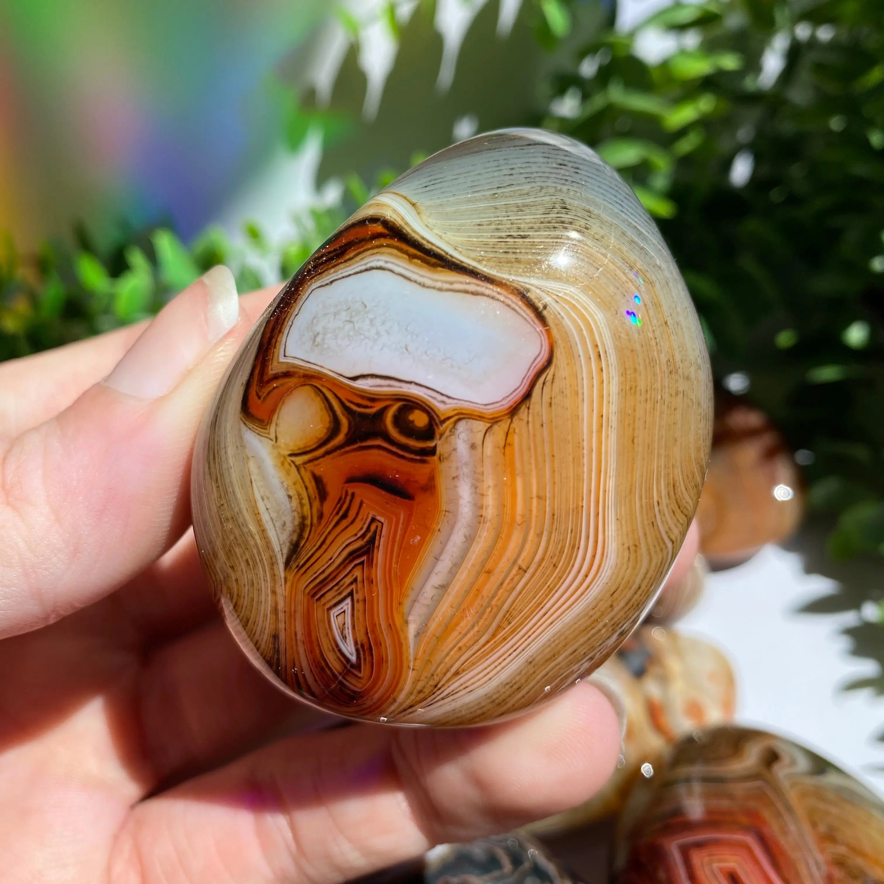 Sardonyx (Carnelian X Onyx) Palm Stone for Passion & Creativity