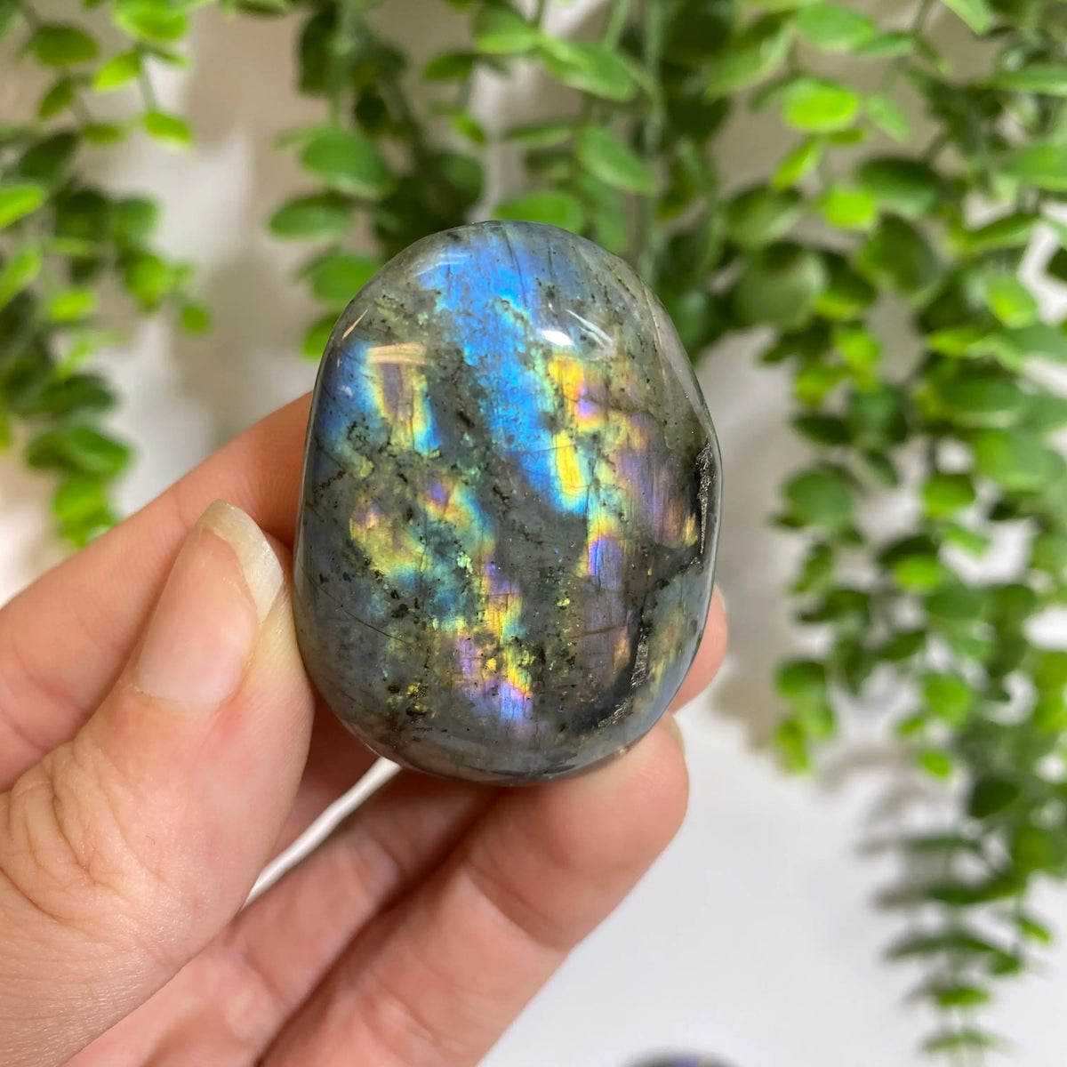 Purple Labradorite Palm Stone Arabella Crystals