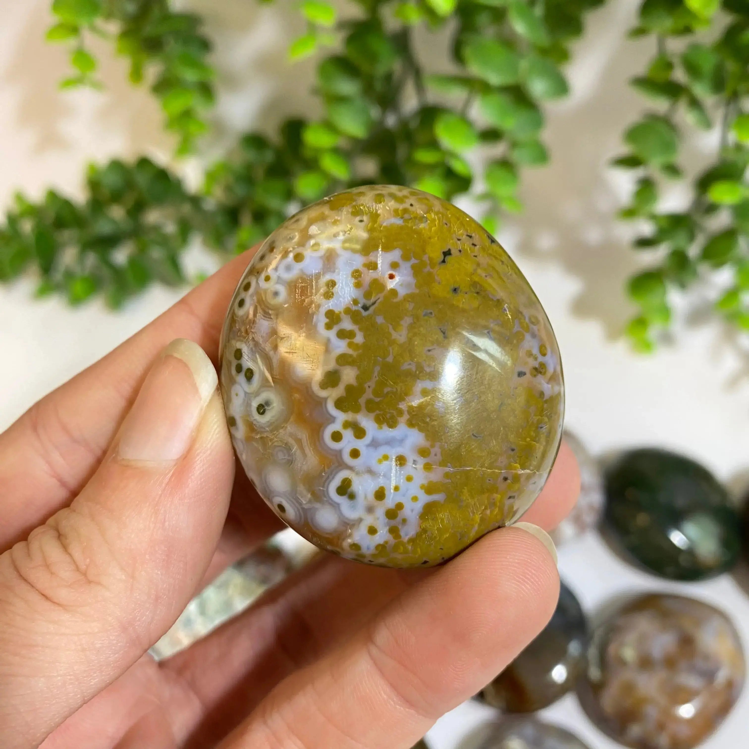 Ocean Jasper Palm Stone Arabella Crystals