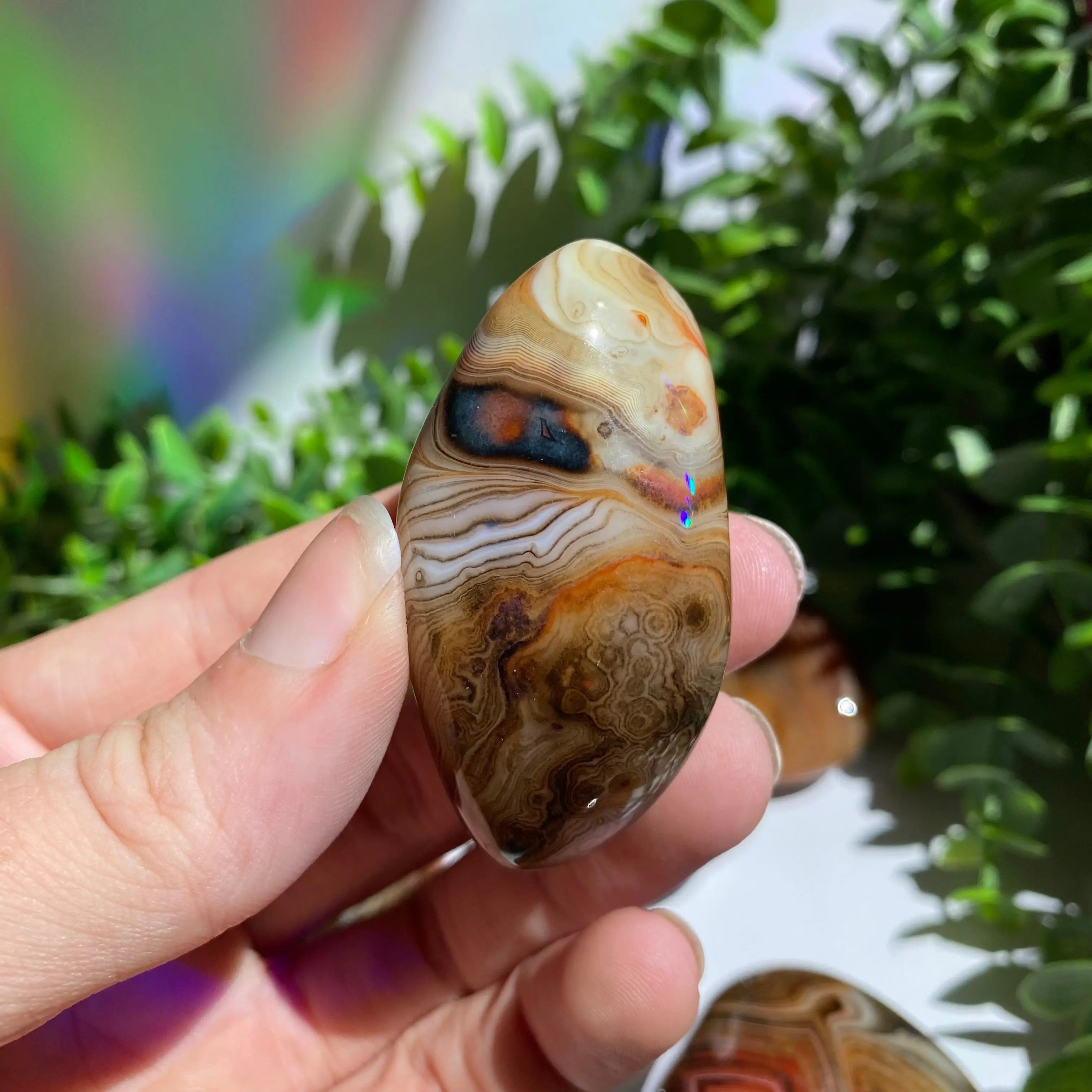Sardonyx (Carnelian X Onyx) Palm Stone for Passion & Creativity