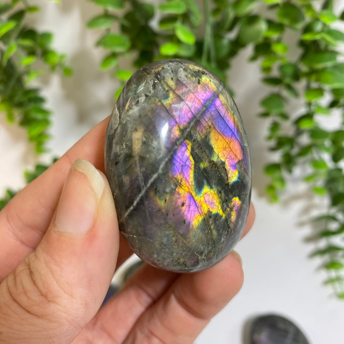 Purple Labradorite Palm Stone Arabella Crystals