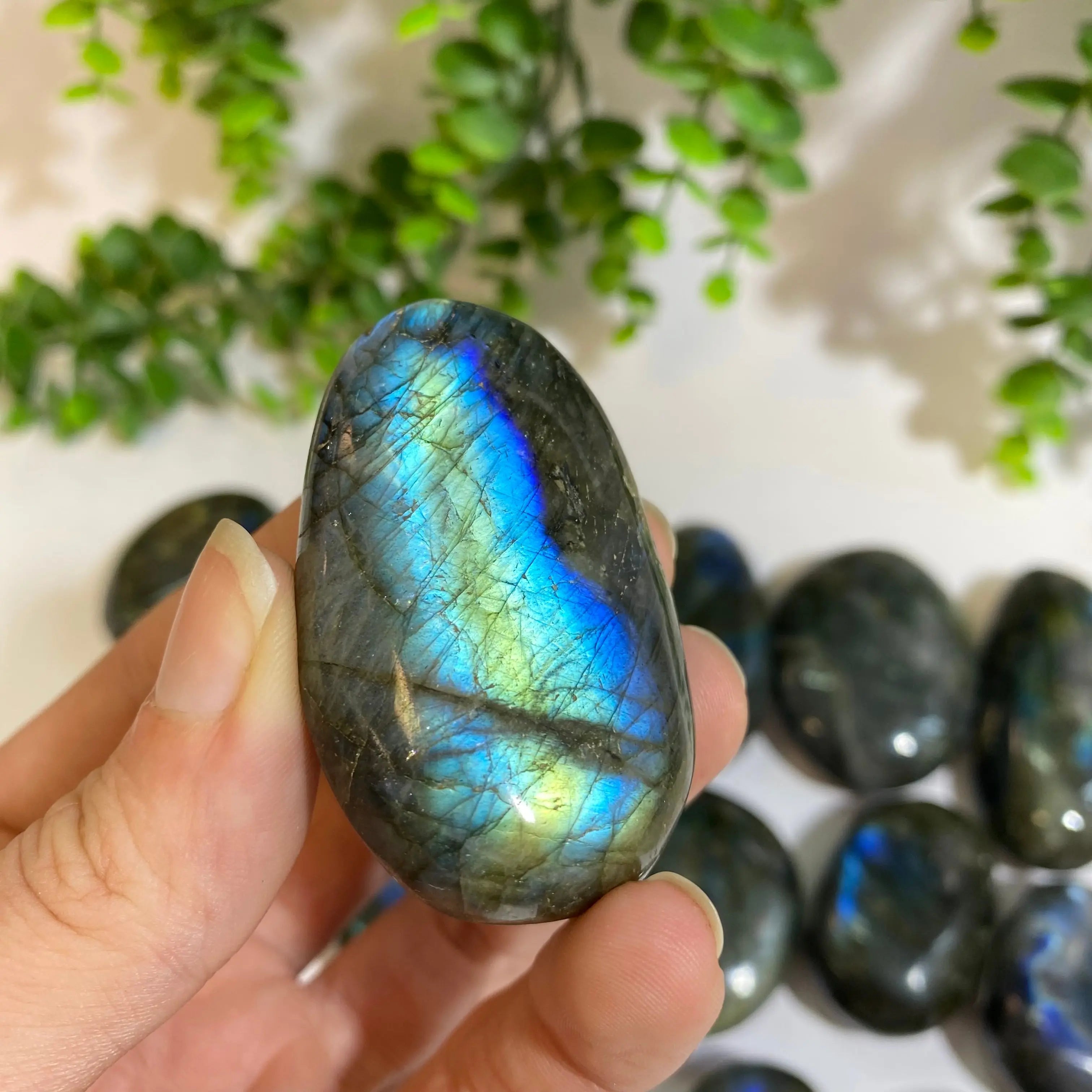 Labradorite Palm Stone Arabella Crystals
