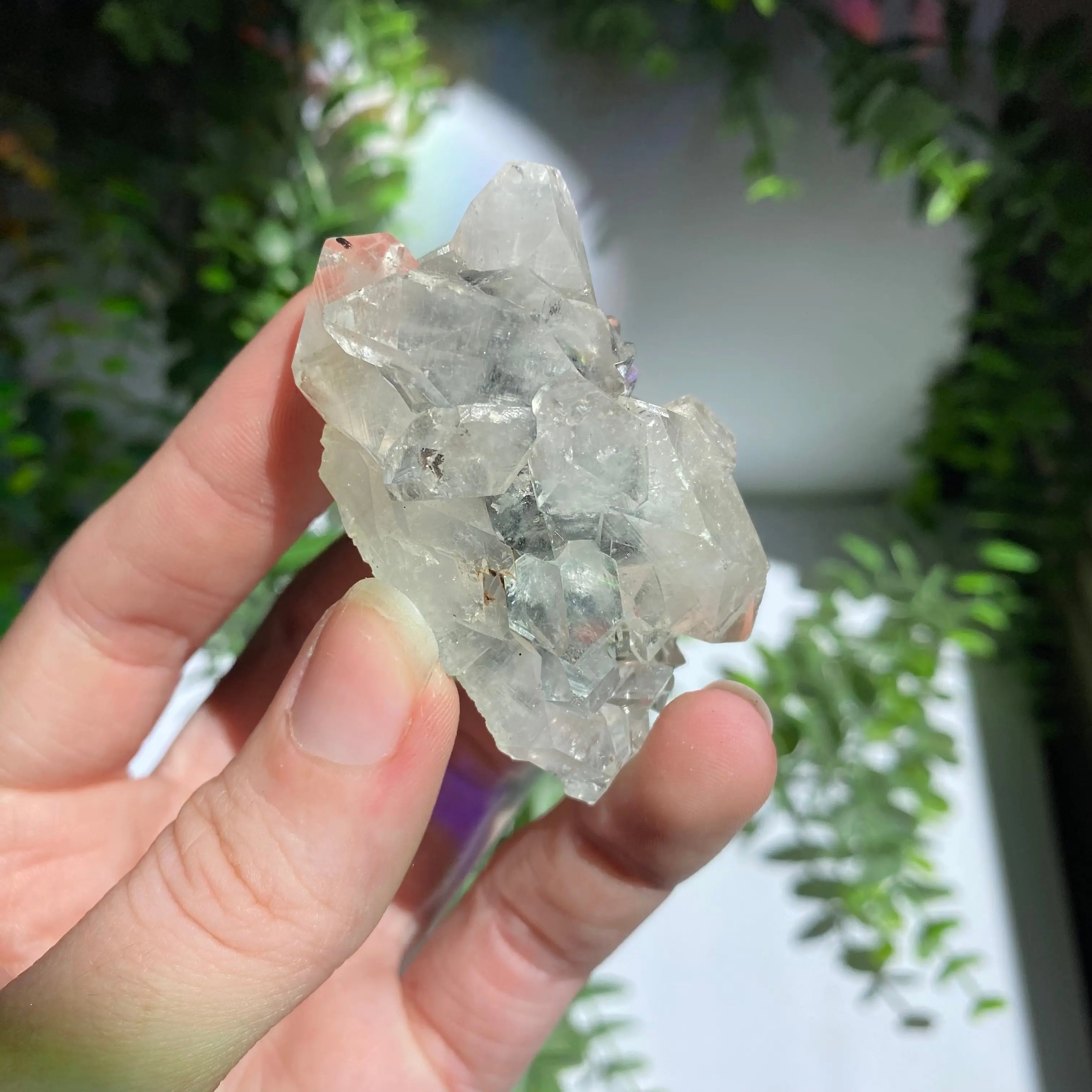 Zeolite Cluster Arabella Crystals