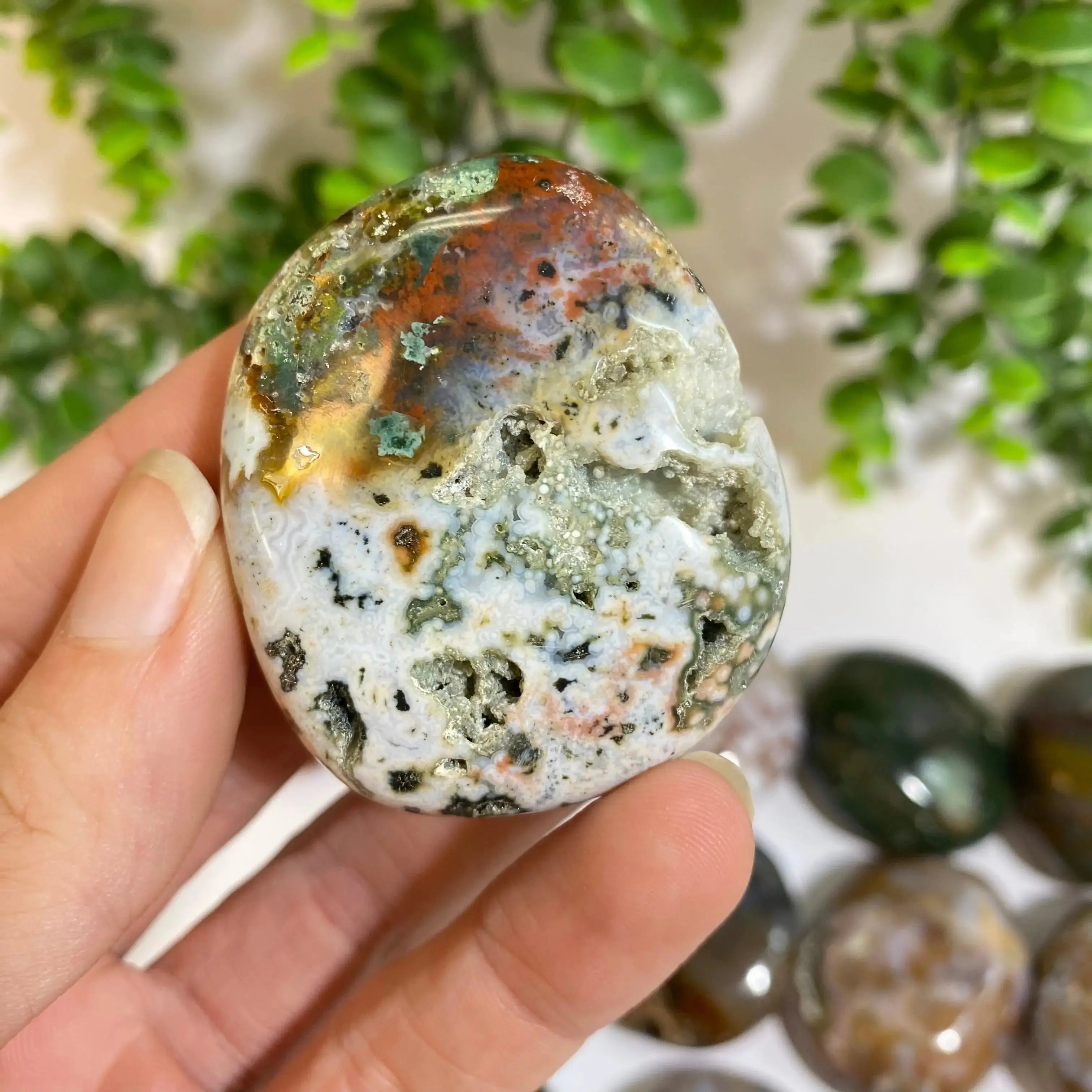 Ocean Jasper Palm Stone Arabella Crystals