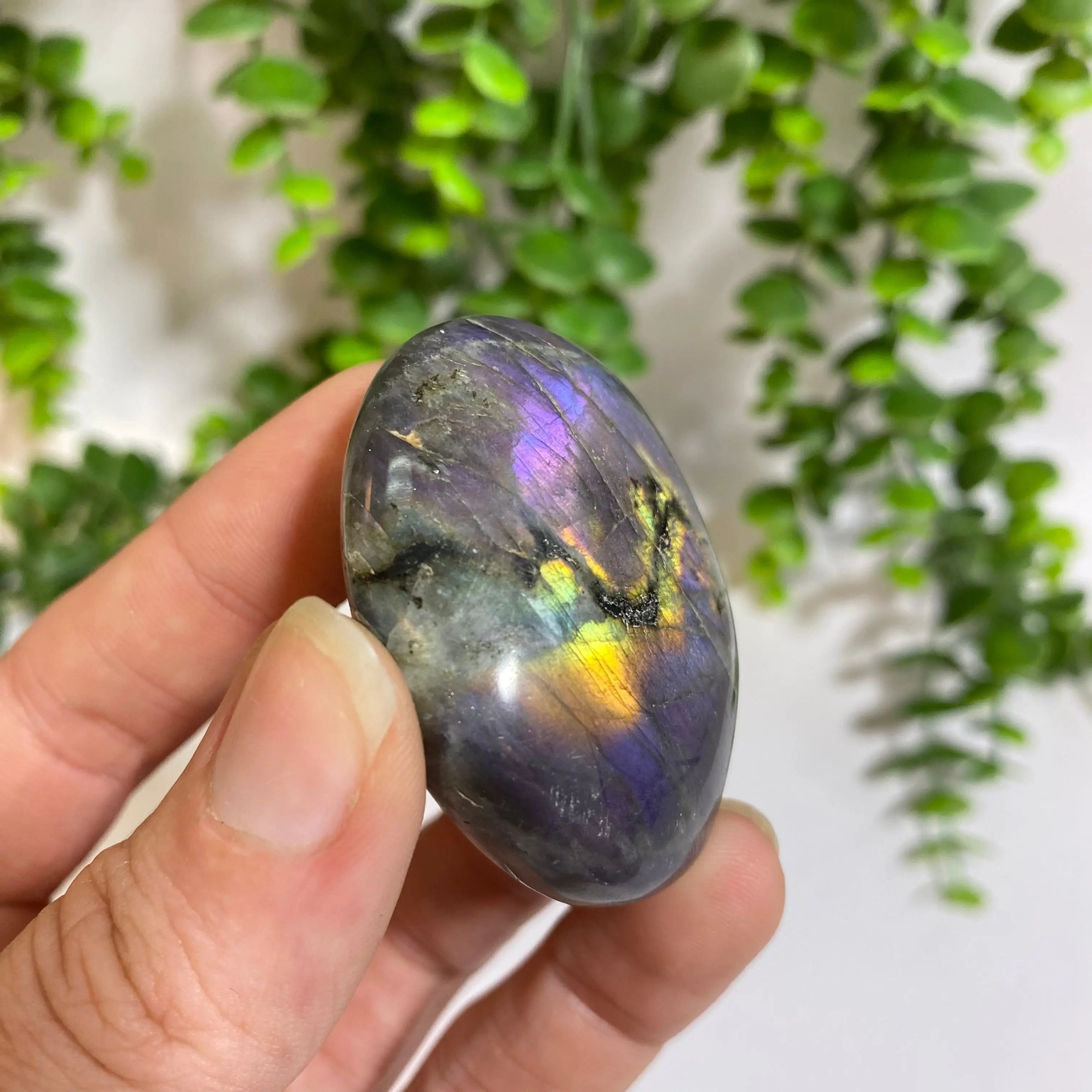 Purple Labradorite Palm Stone Arabella Crystals