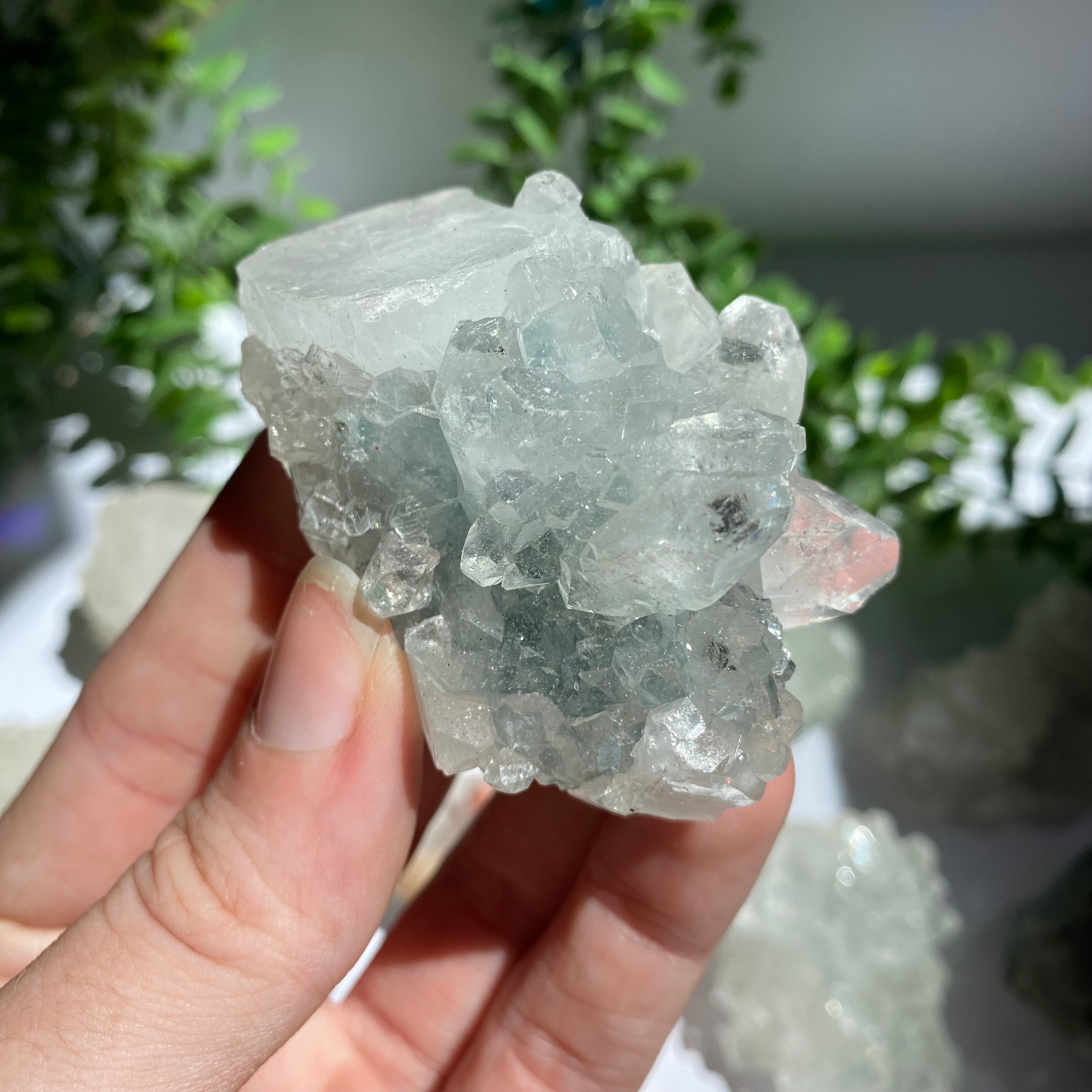 Zeolite Cluster