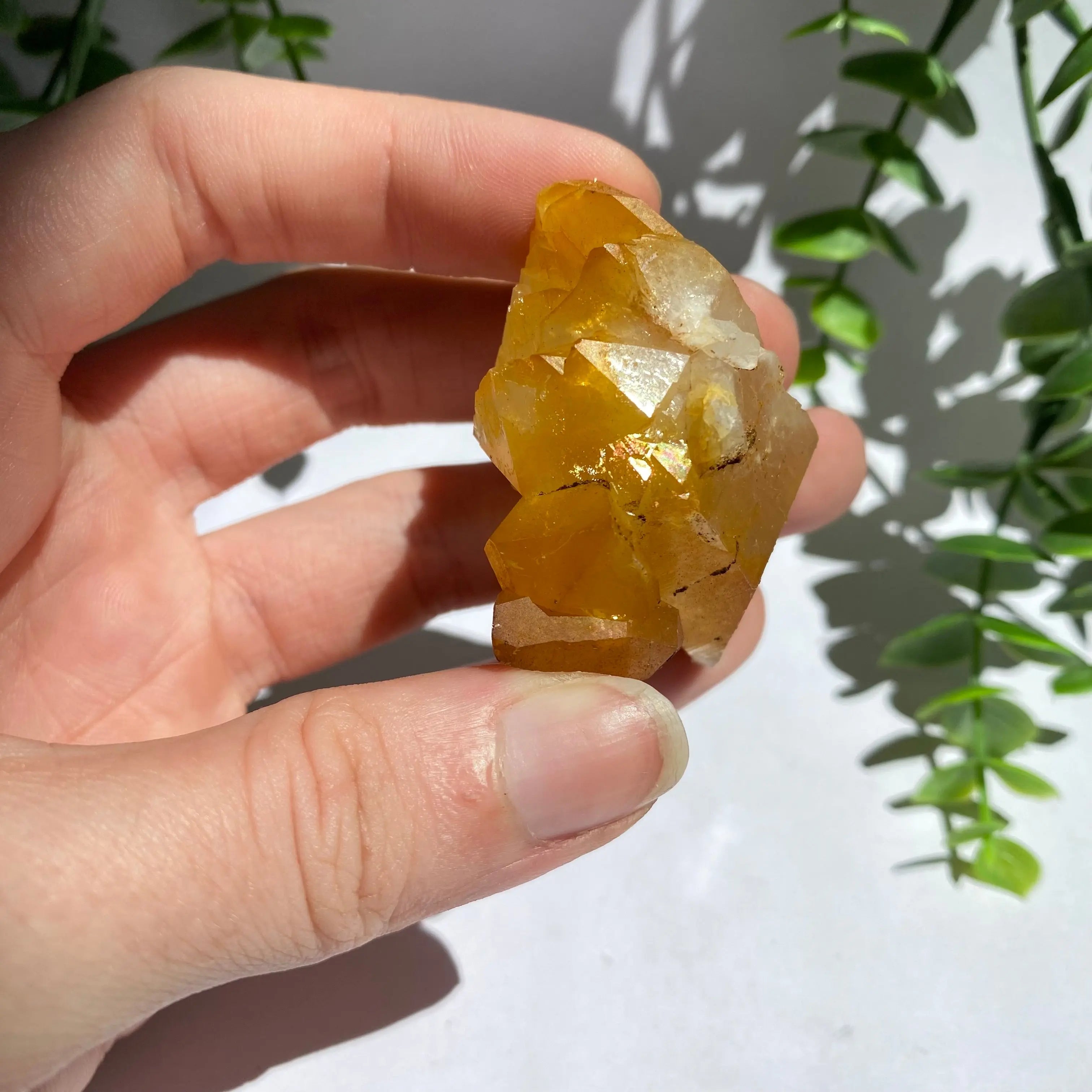 Golden Healer Cluster Arabella Crystals