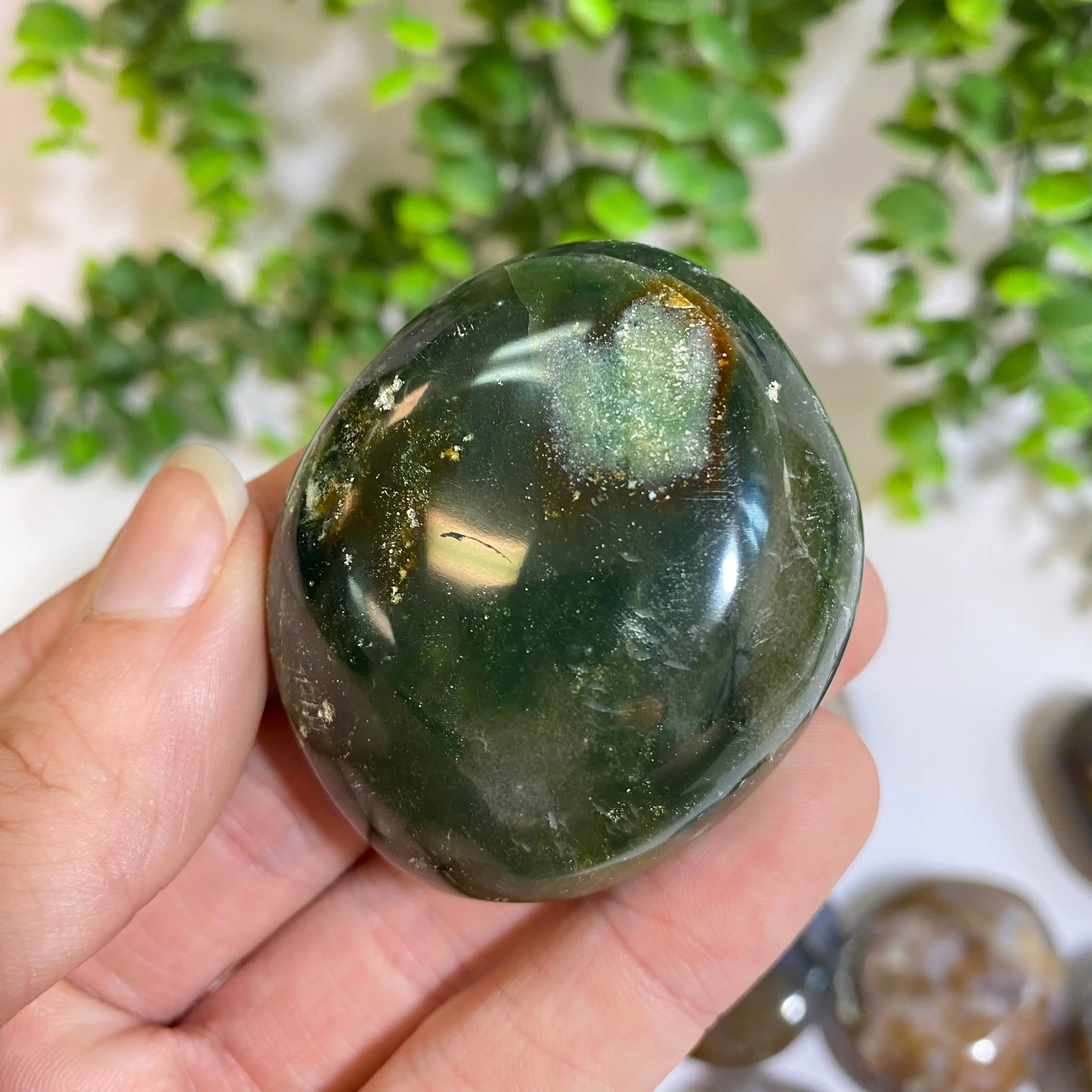Ocean Jasper Palm Stone Arabella Crystals