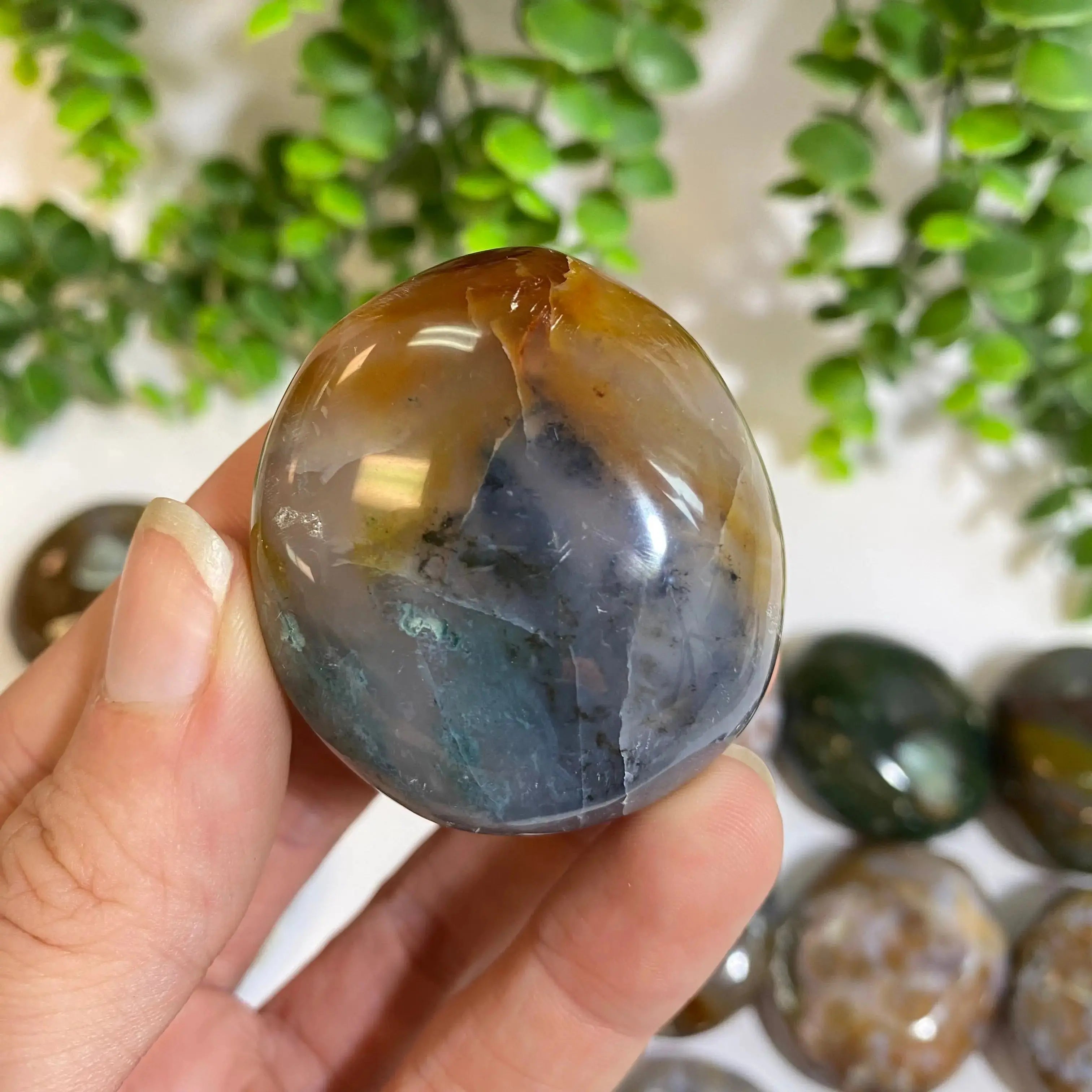 Ocean Jasper Palm Stone Arabella Crystals