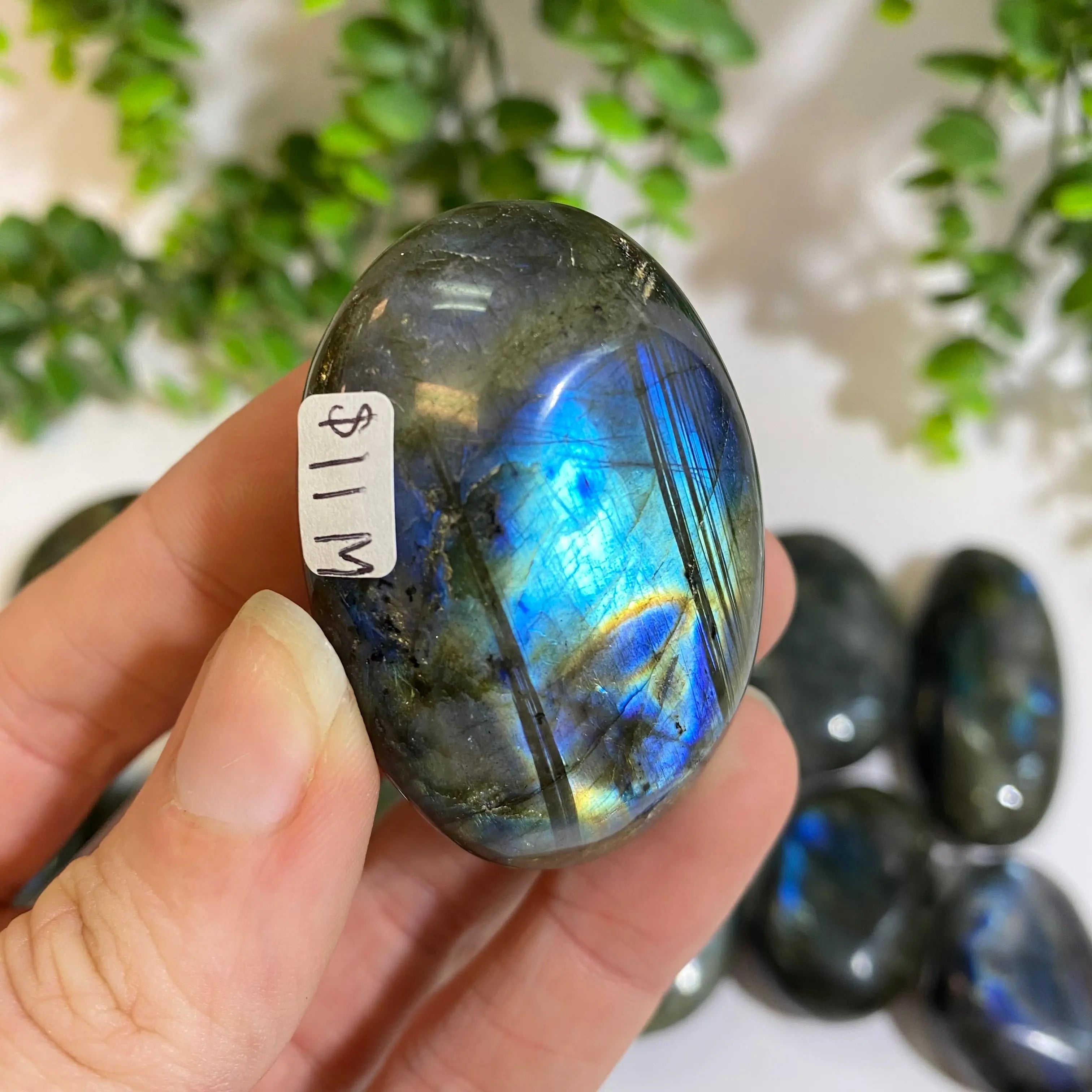 Labradorite Palm Stone Arabella Crystals
