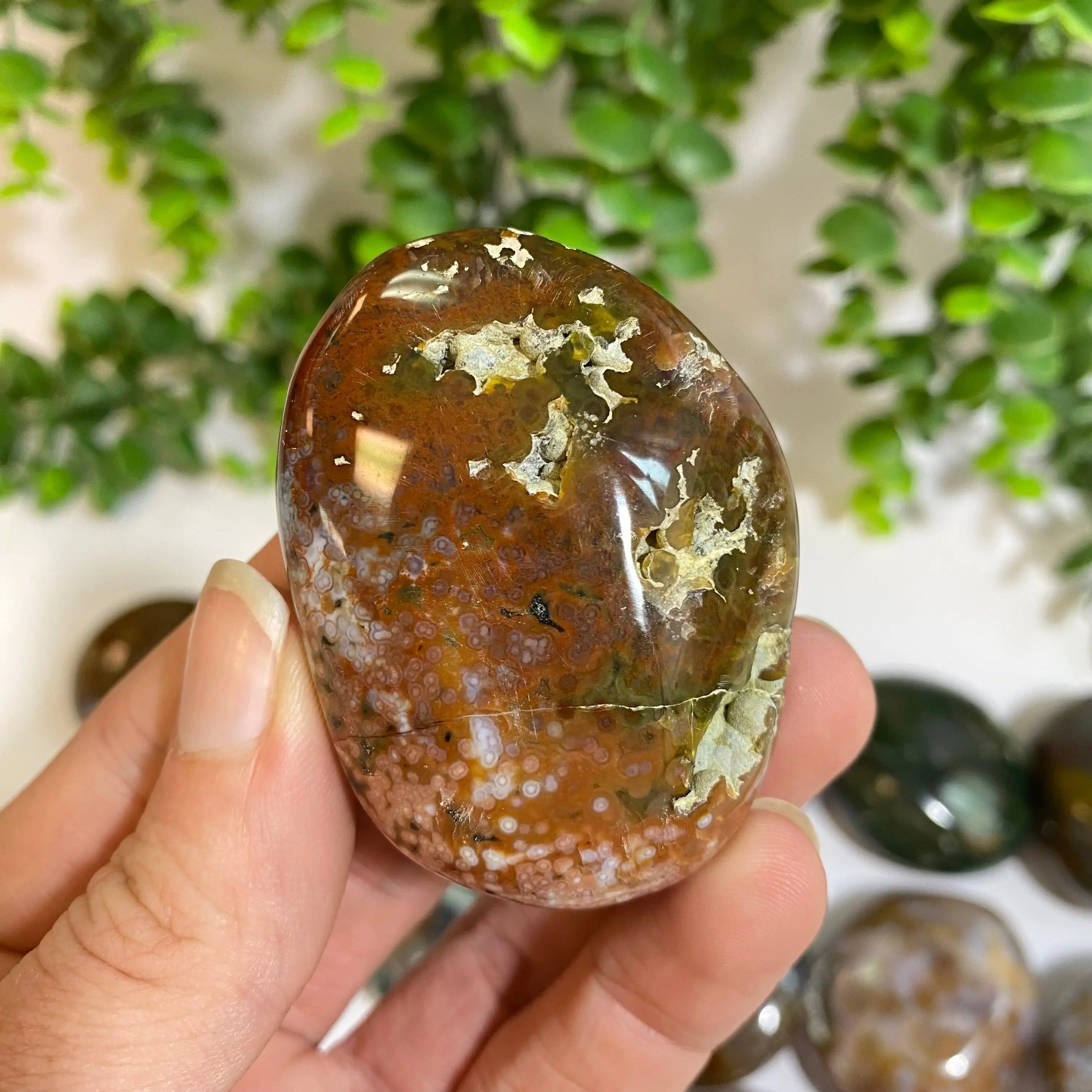 Ocean Jasper Palm Stone Arabella Crystals