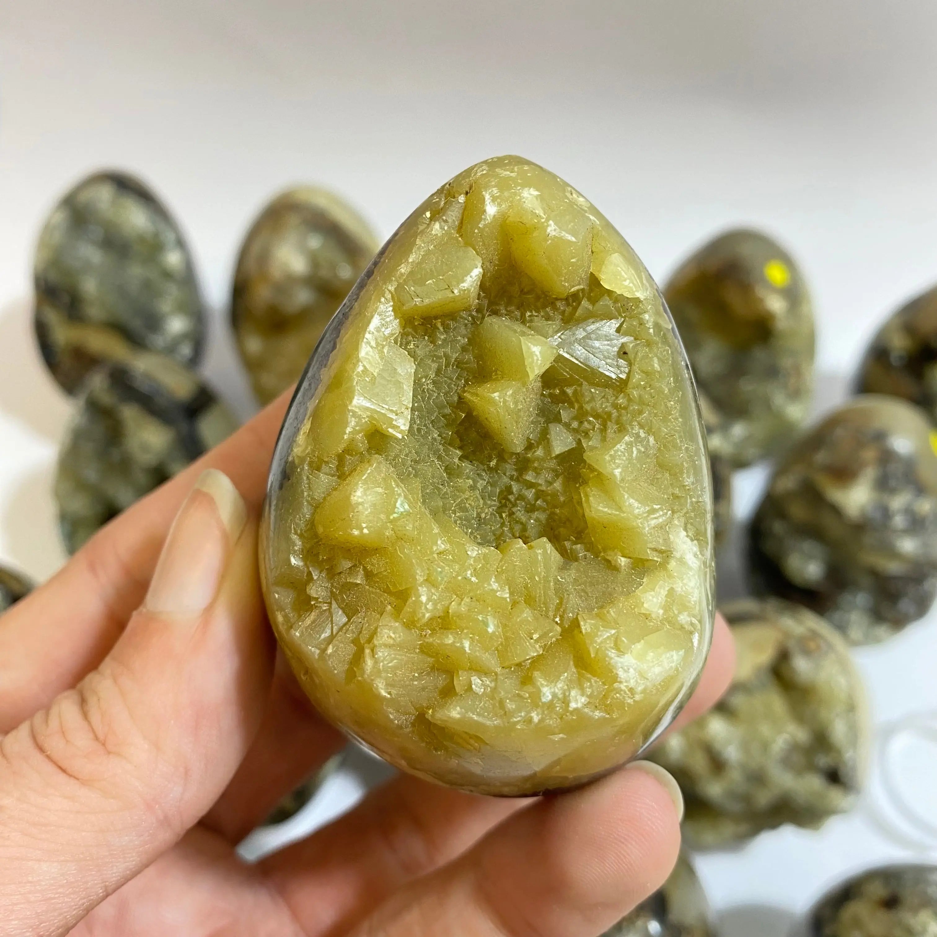 Septarian Agate Egg Arabella Crystals