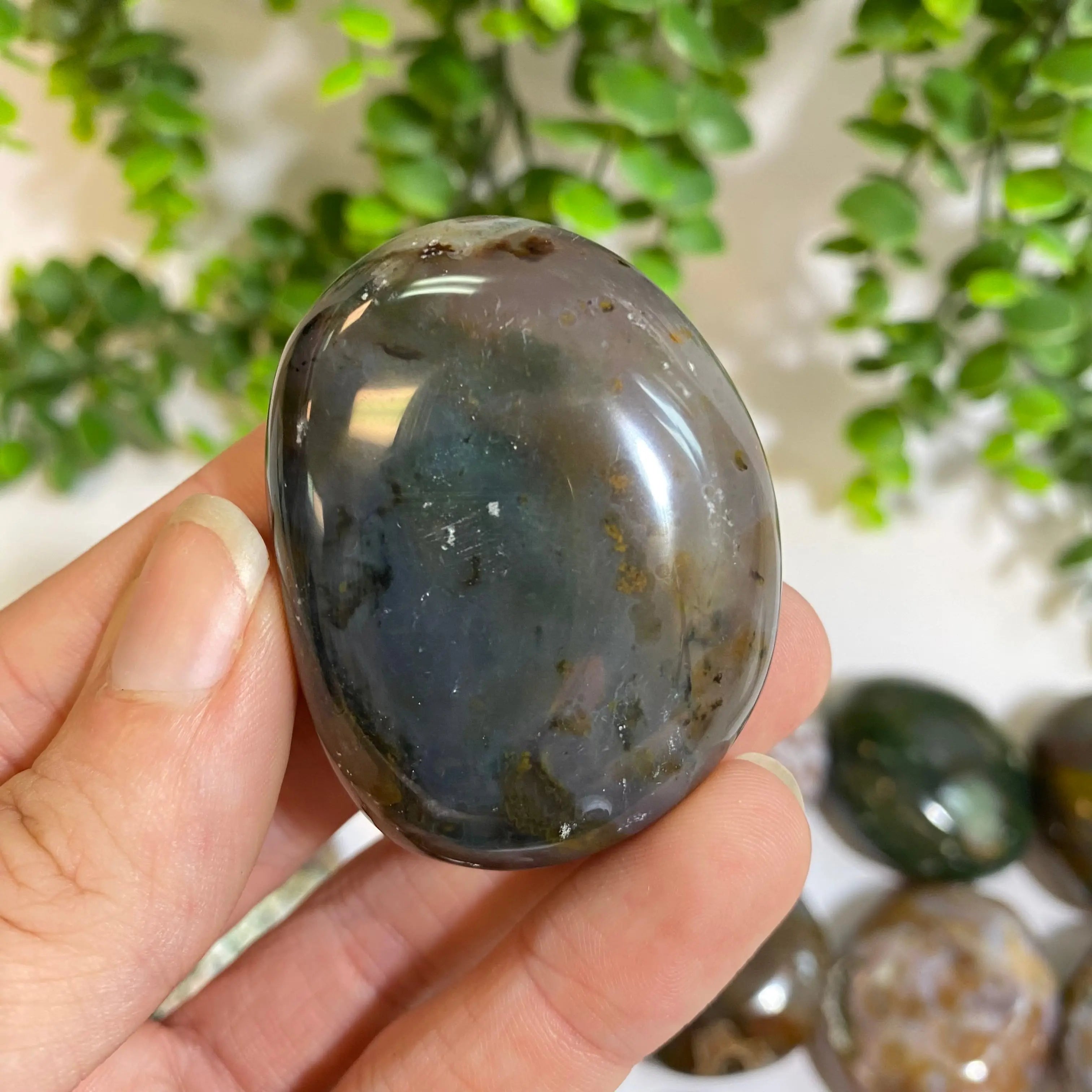 Ocean Jasper Palm Stone Arabella Crystals