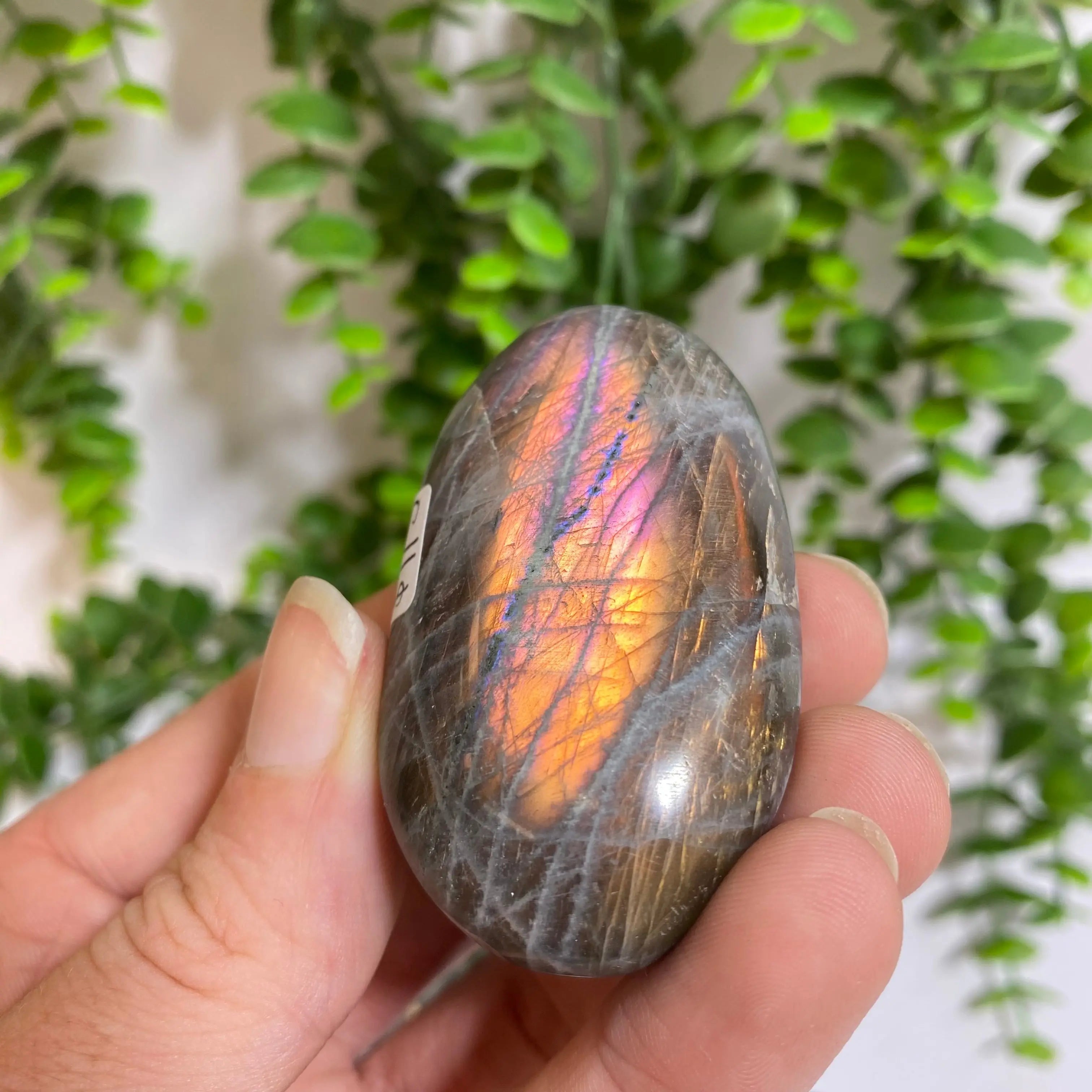 Purple Labradorite Palm Stone Arabella Crystals