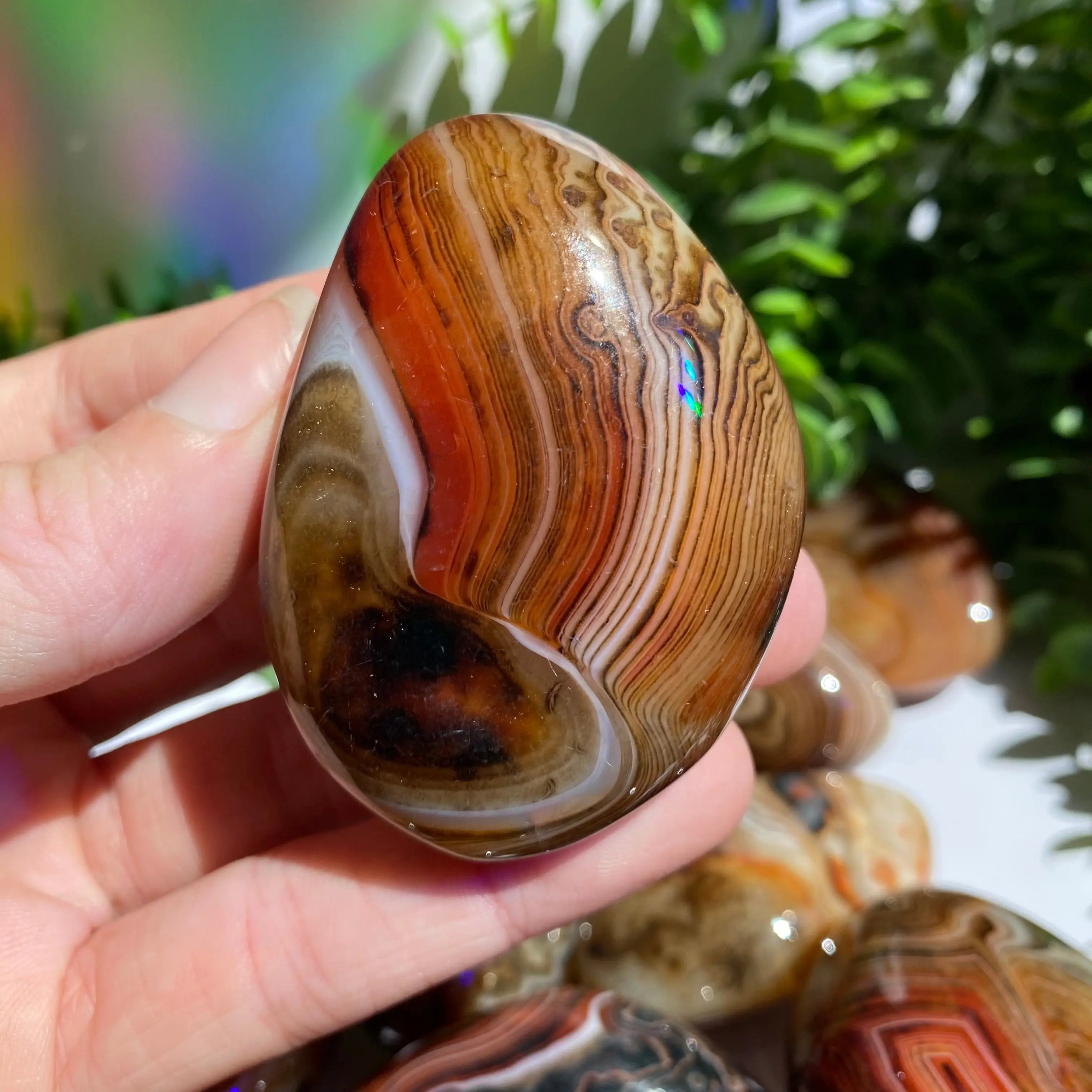 Sardonyx (Carnelian X Onyx) Palm Stone for Passion & Creativity