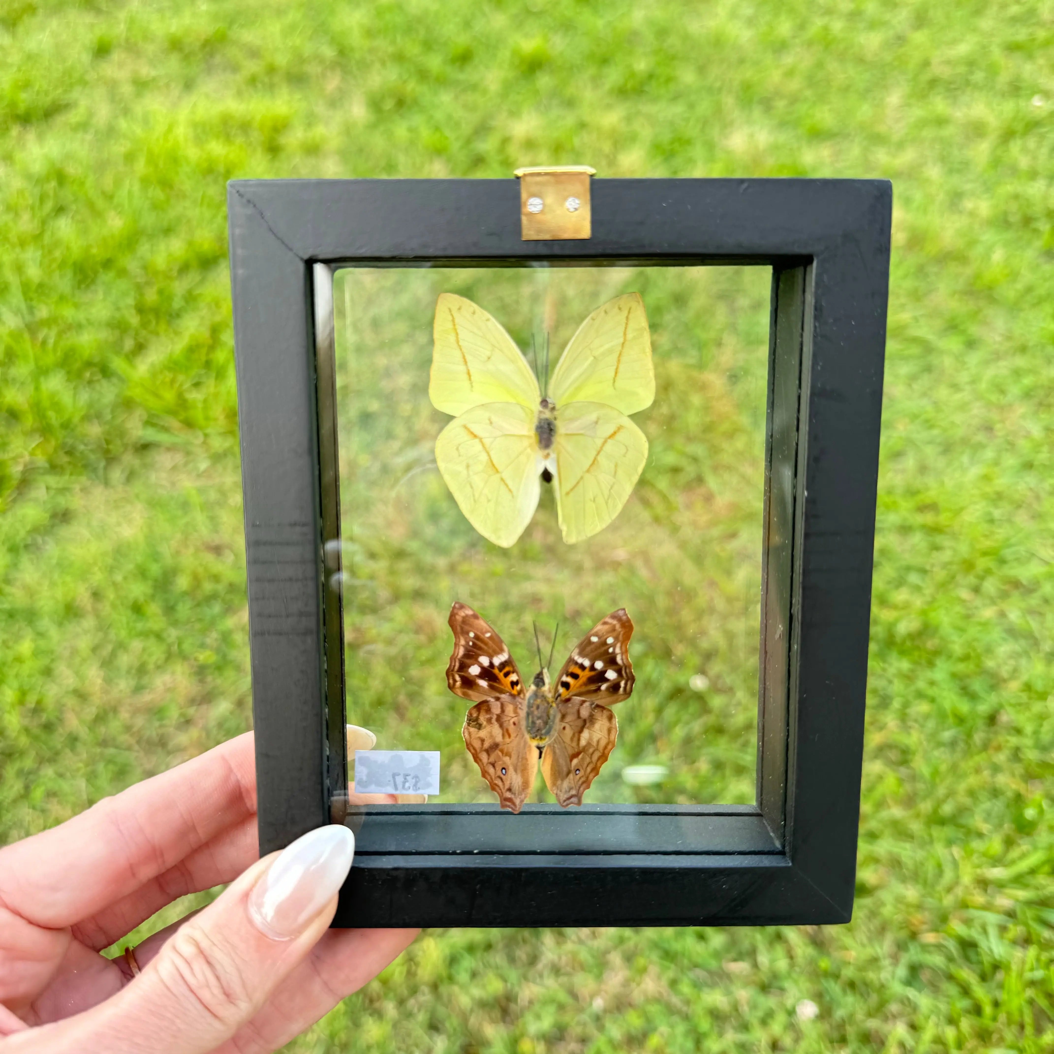2 Piece Butterfly Frame Arabella Crystals