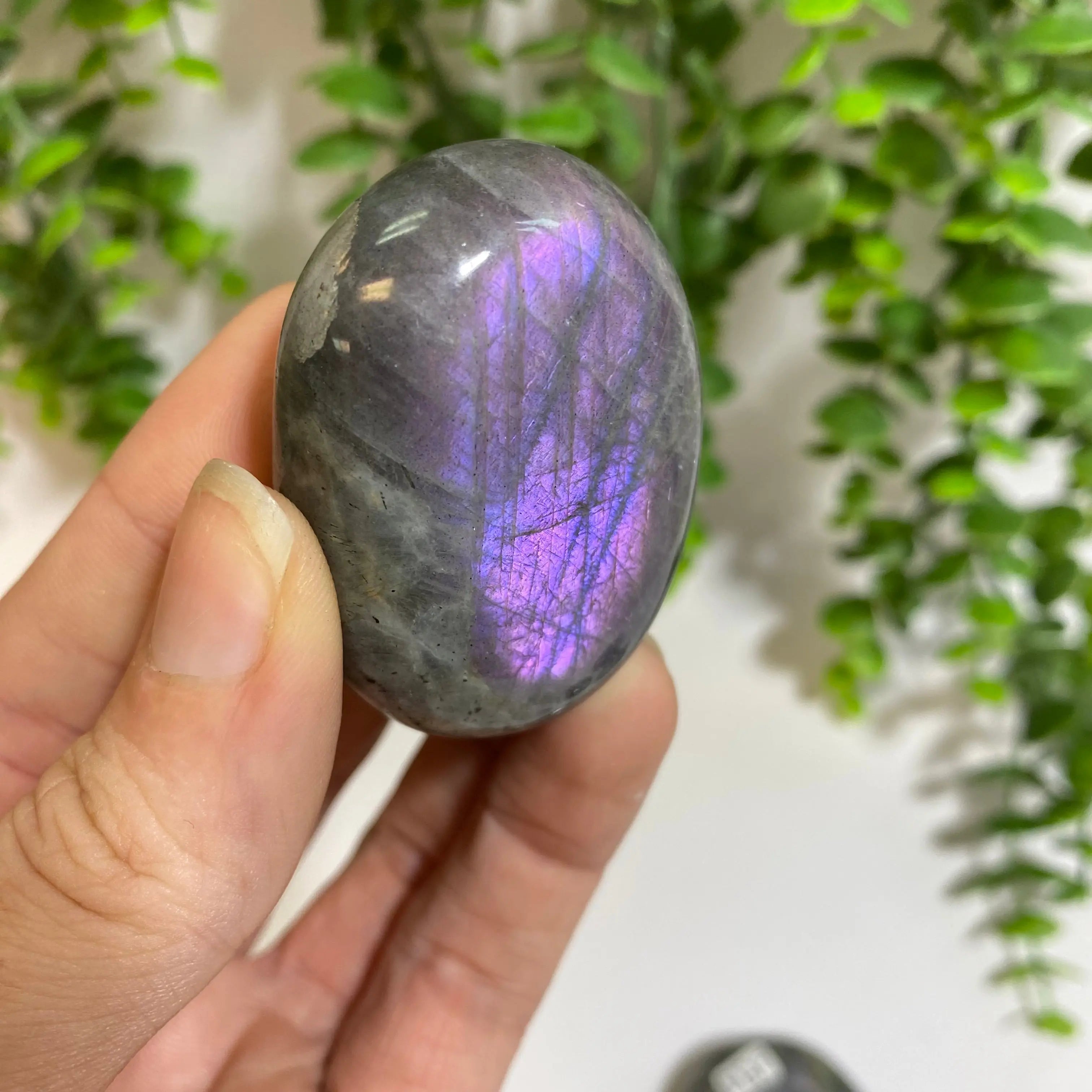Purple Labradorite Palm Stone Arabella Crystals