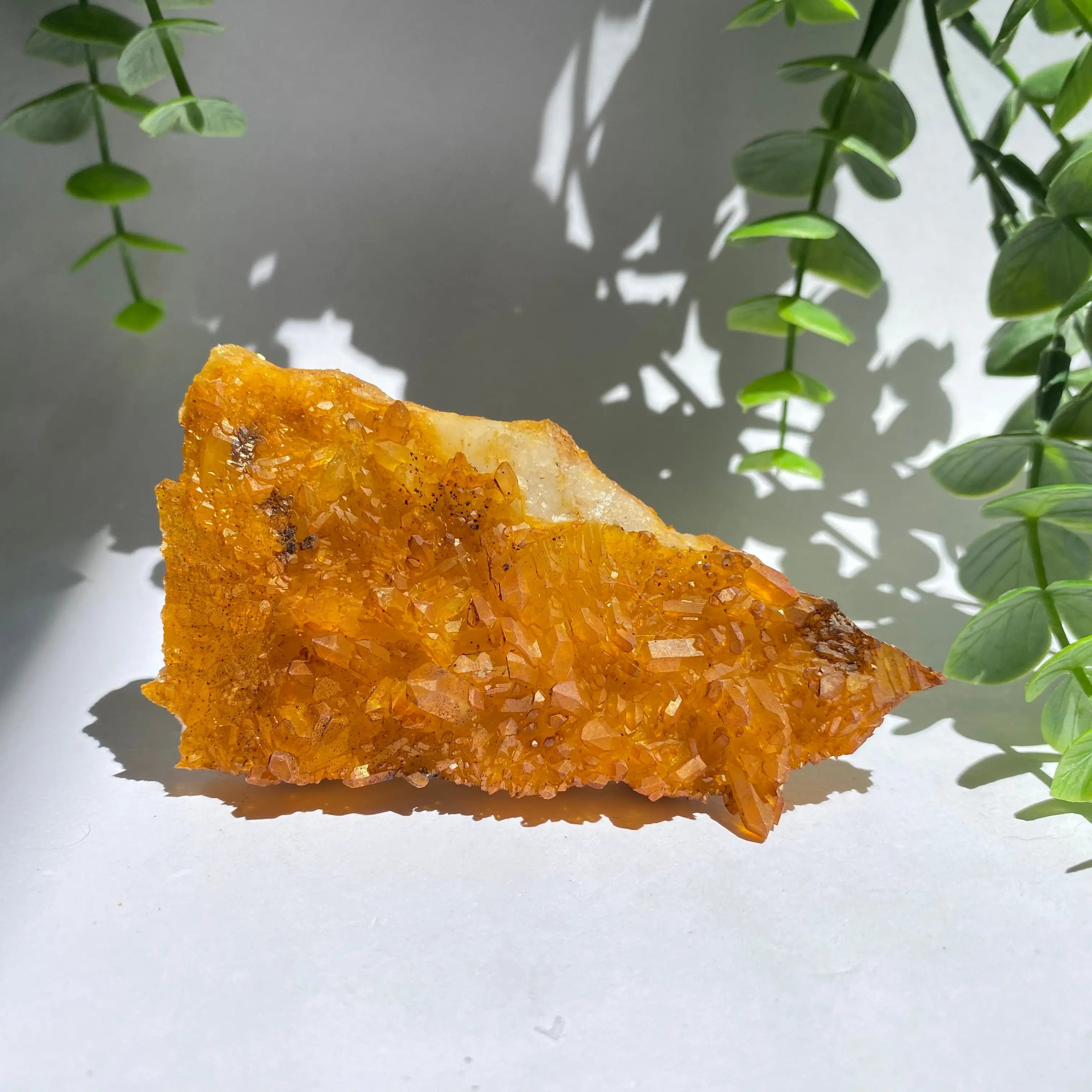 Golden Healer Cluster Arabella Crystals
