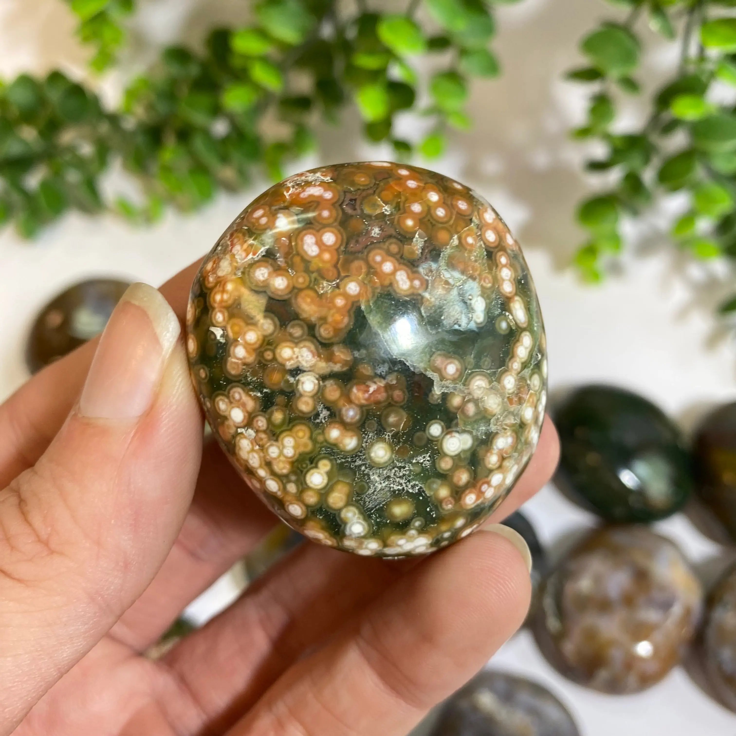 Ocean Jasper Palm Stone Arabella Crystals
