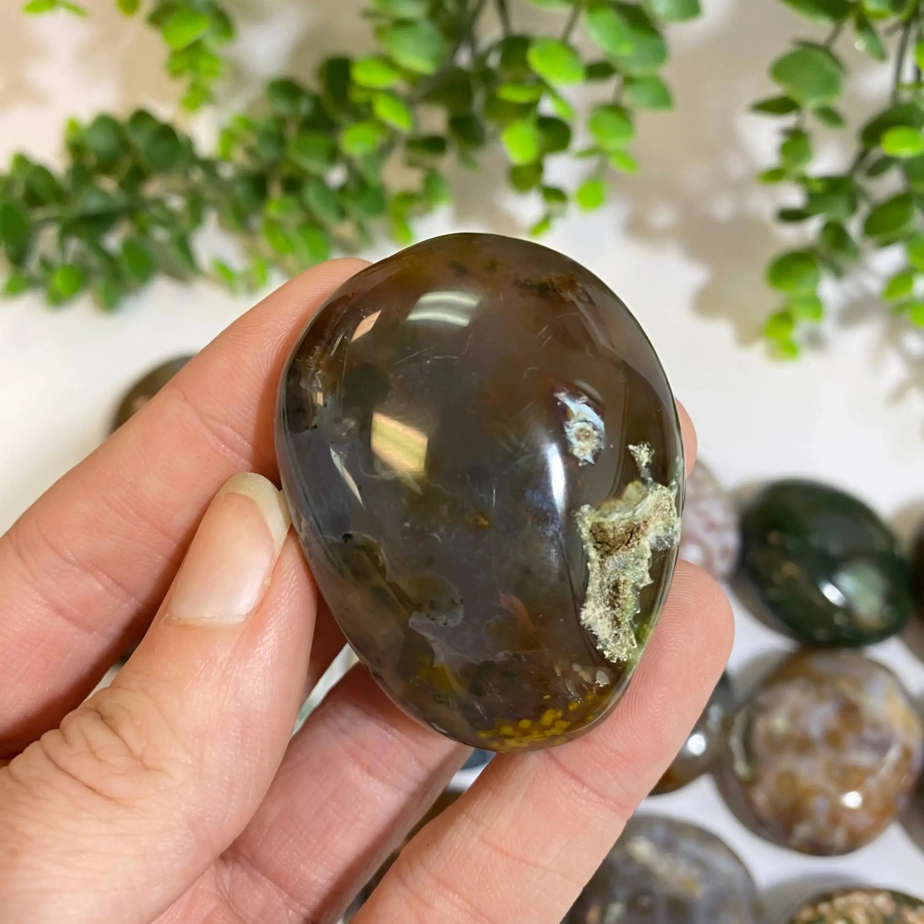Ocean Jasper Palm Stone Arabella Crystals