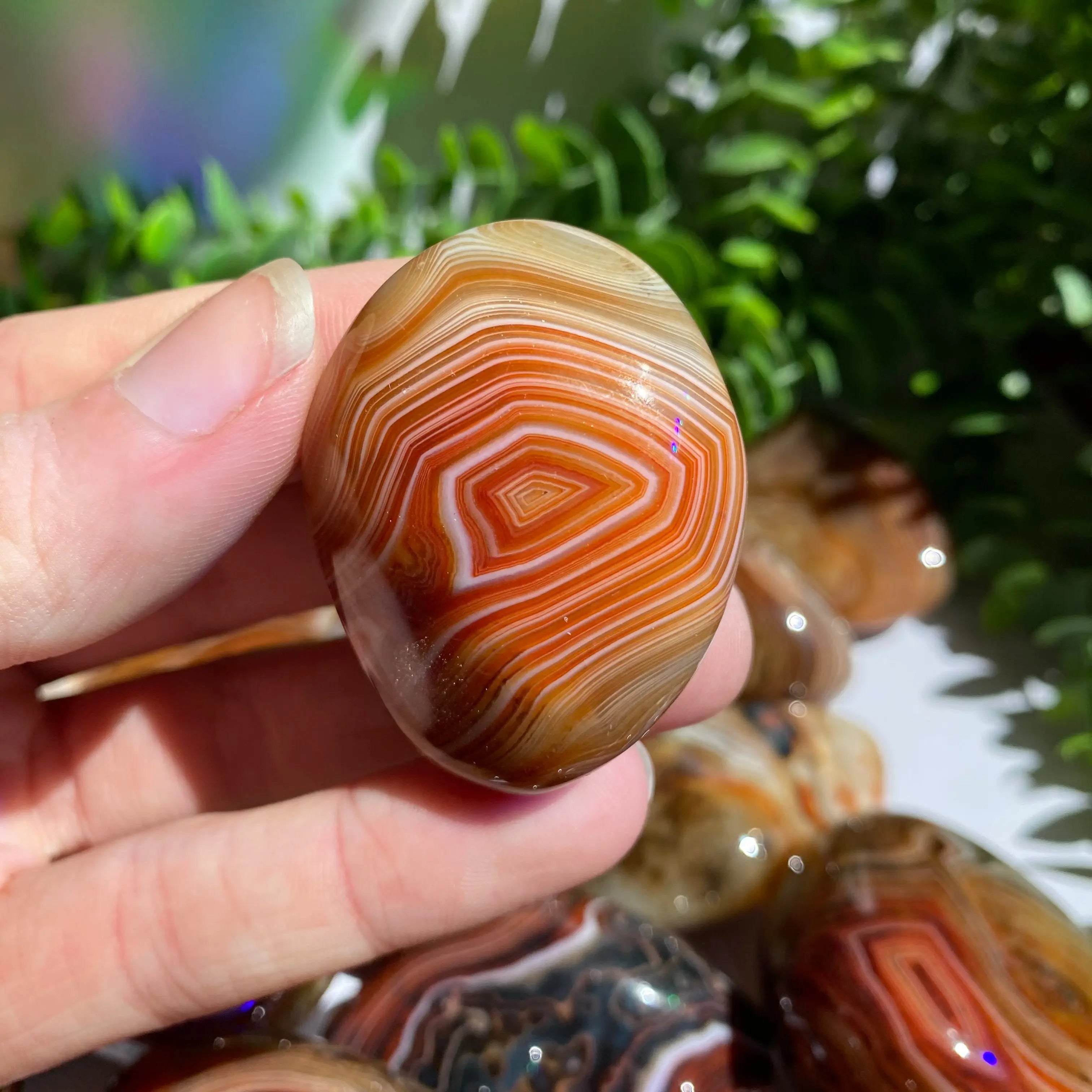 Sardonyx (Carnelian X Onyx) Palm Stone for Passion & Creativity