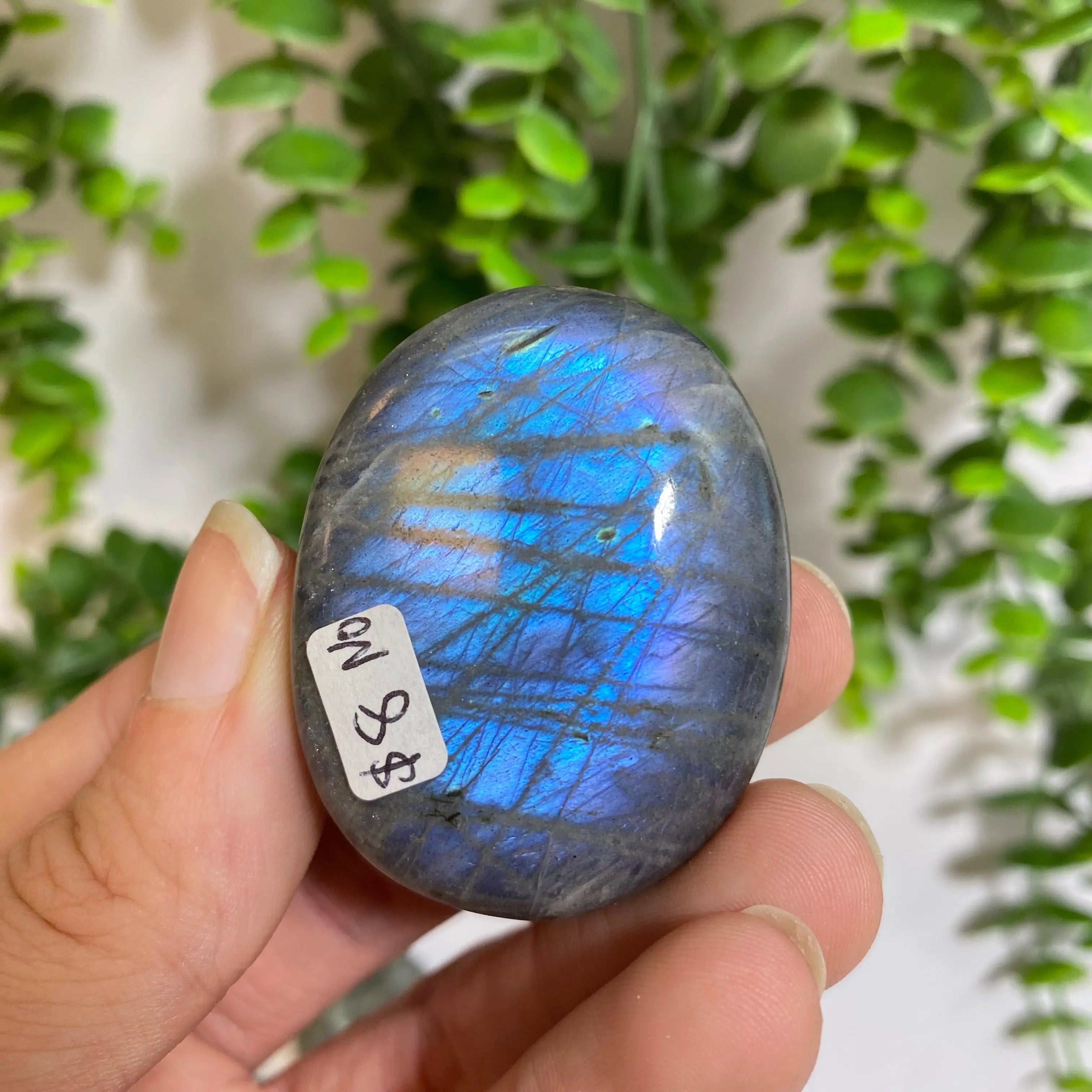 Purple Labradorite Palm Stone Arabella Crystals