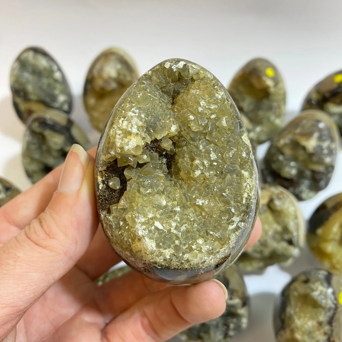 Septarian Agate Egg Arabella Crystals