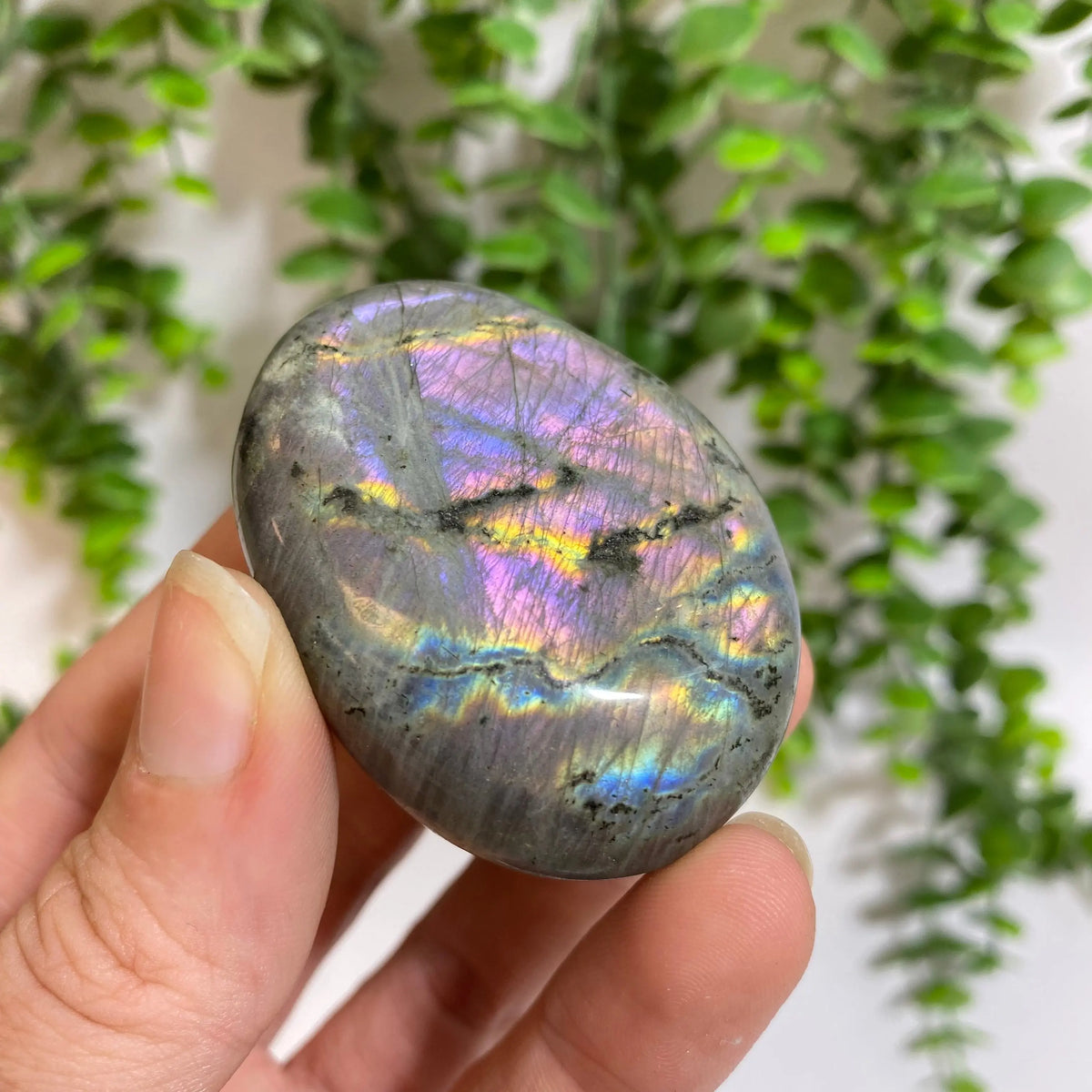Purple Labradorite Palm Stone Arabella Crystals