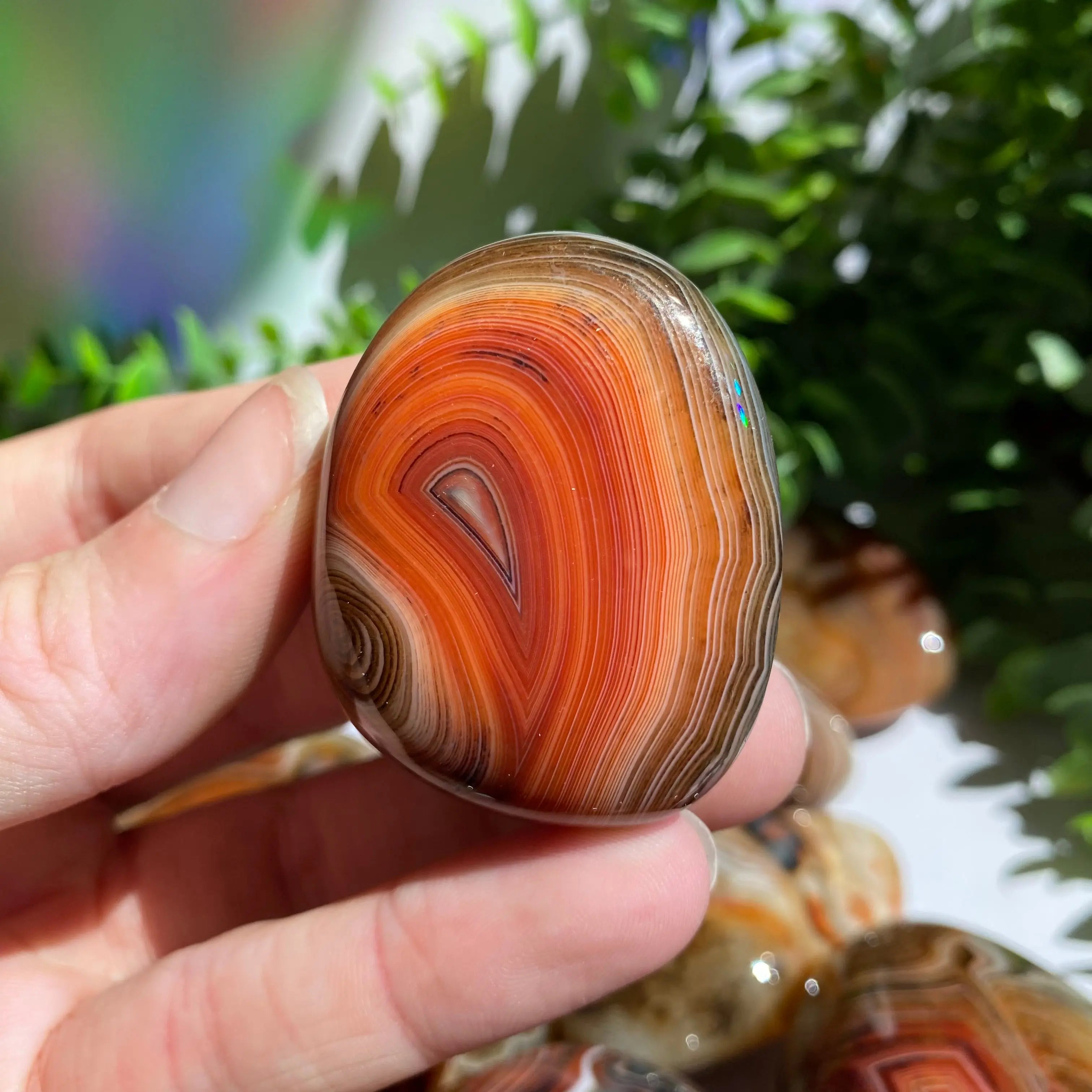Sardonyx (Carnelian X Onyx) Palm Stone for Passion & Creativity