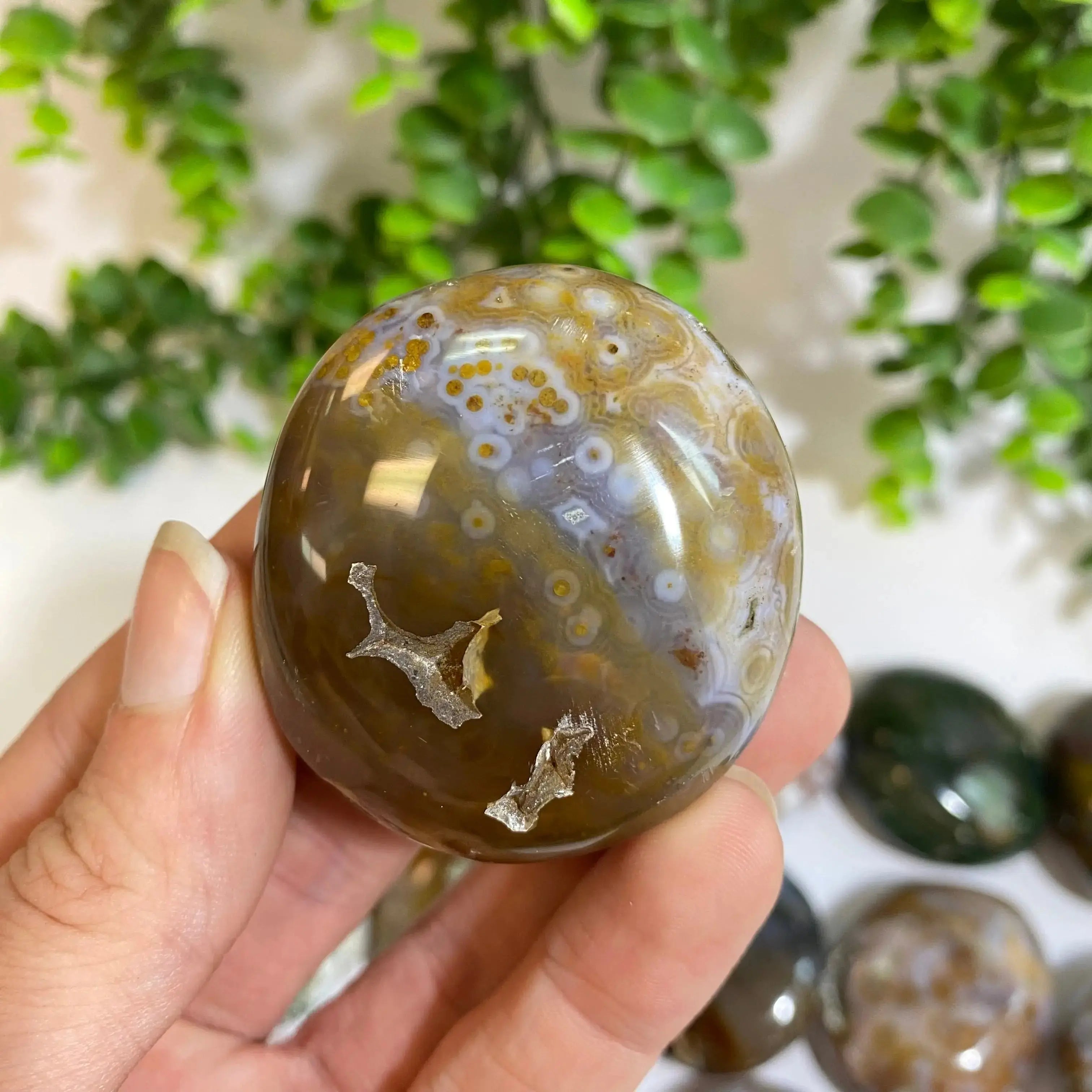 Ocean Jasper Palm Stone Arabella Crystals
