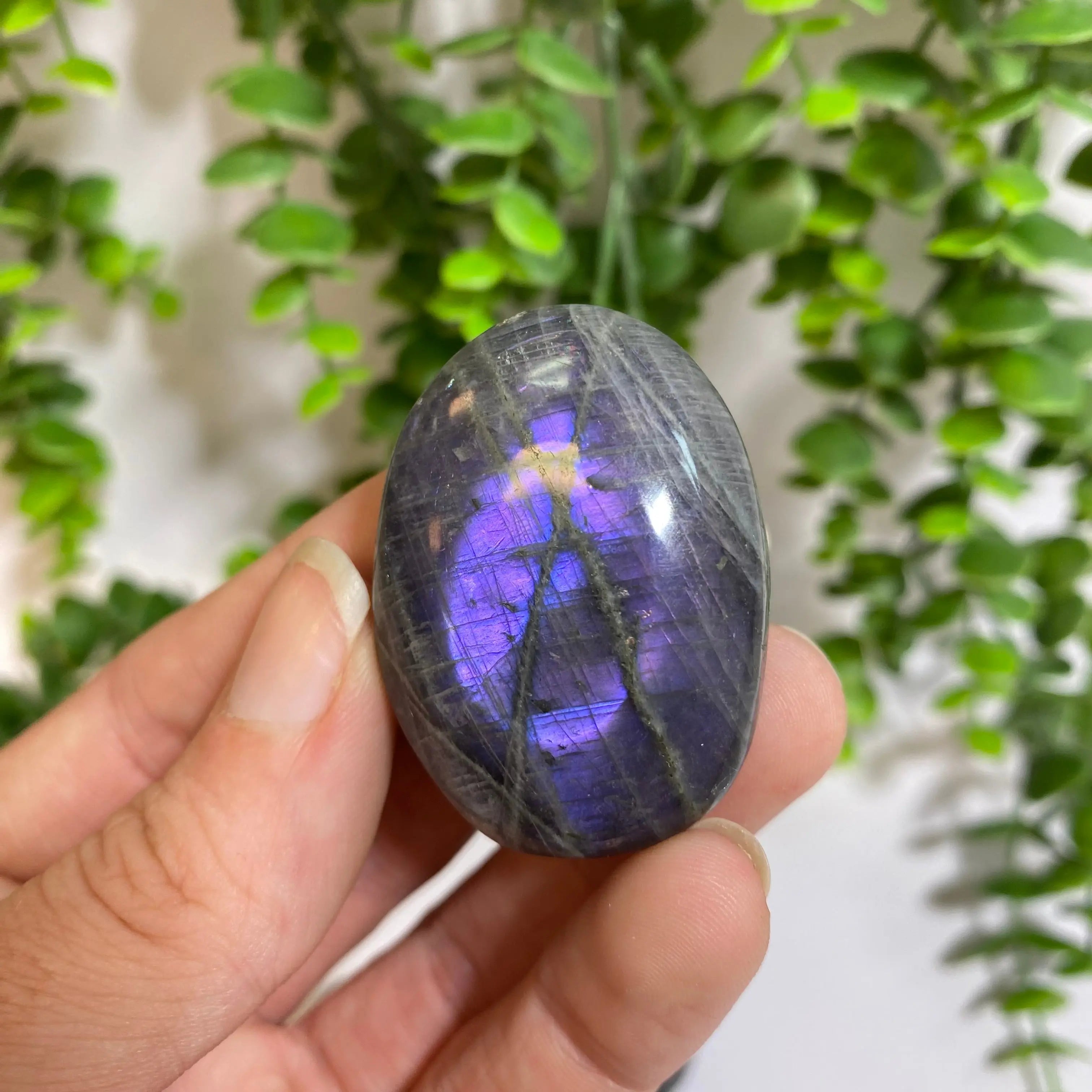 Purple Labradorite Palm Stone Arabella Crystals
