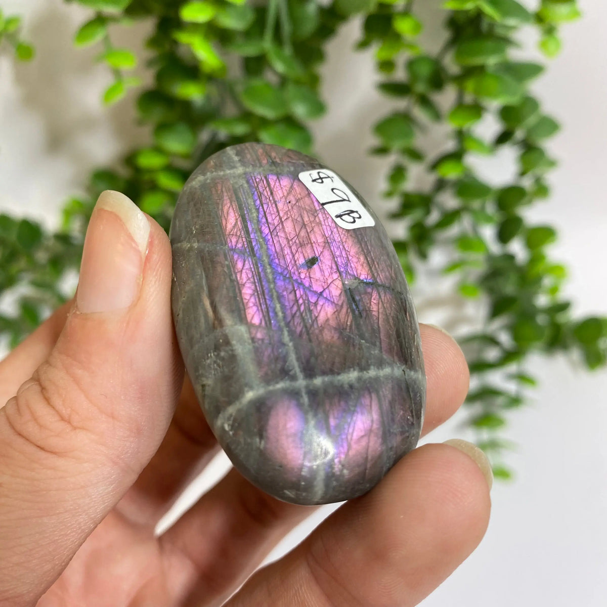 Purple Labradorite Palm Stone Arabella Crystals