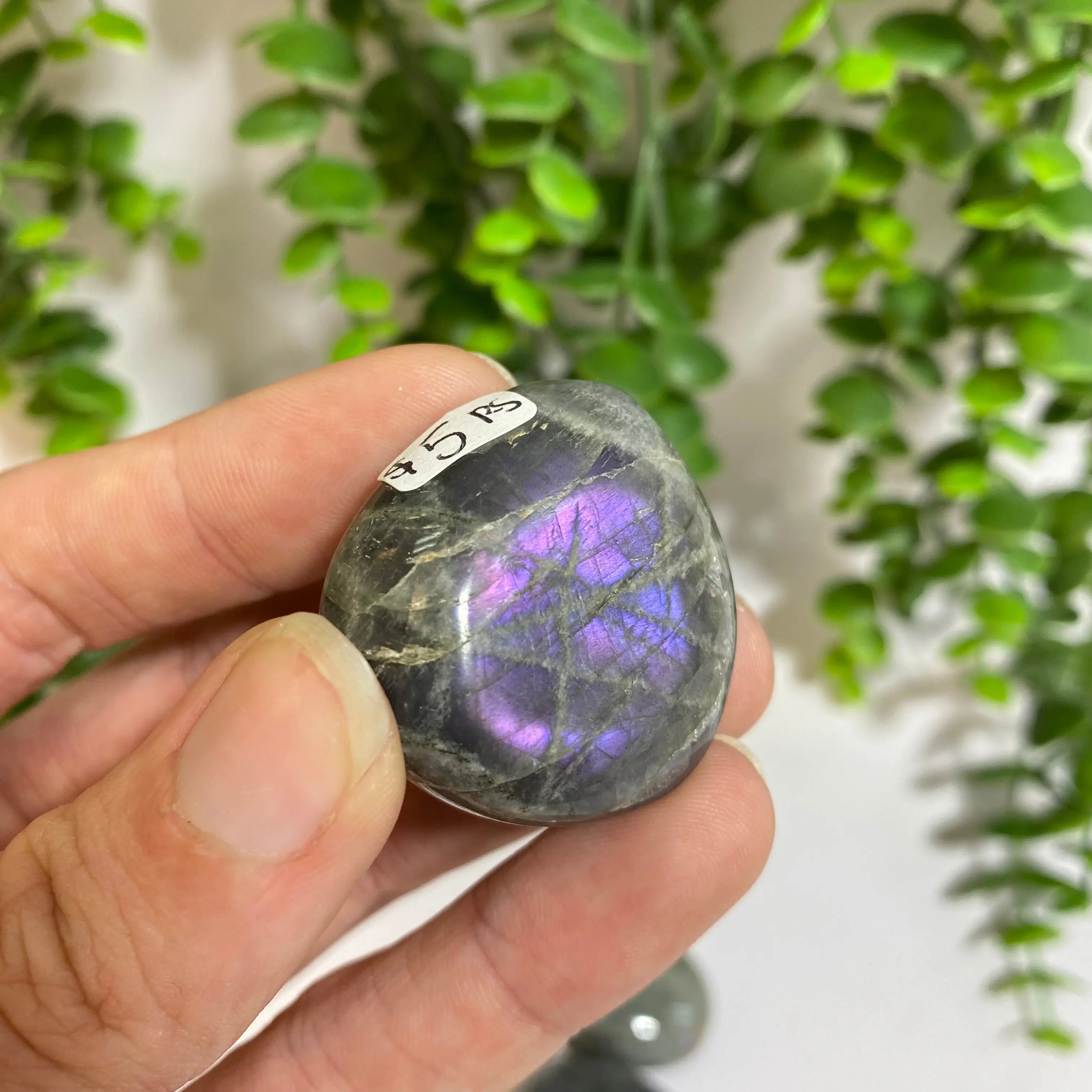 Purple Labradorite Palm Stone Arabella Crystals