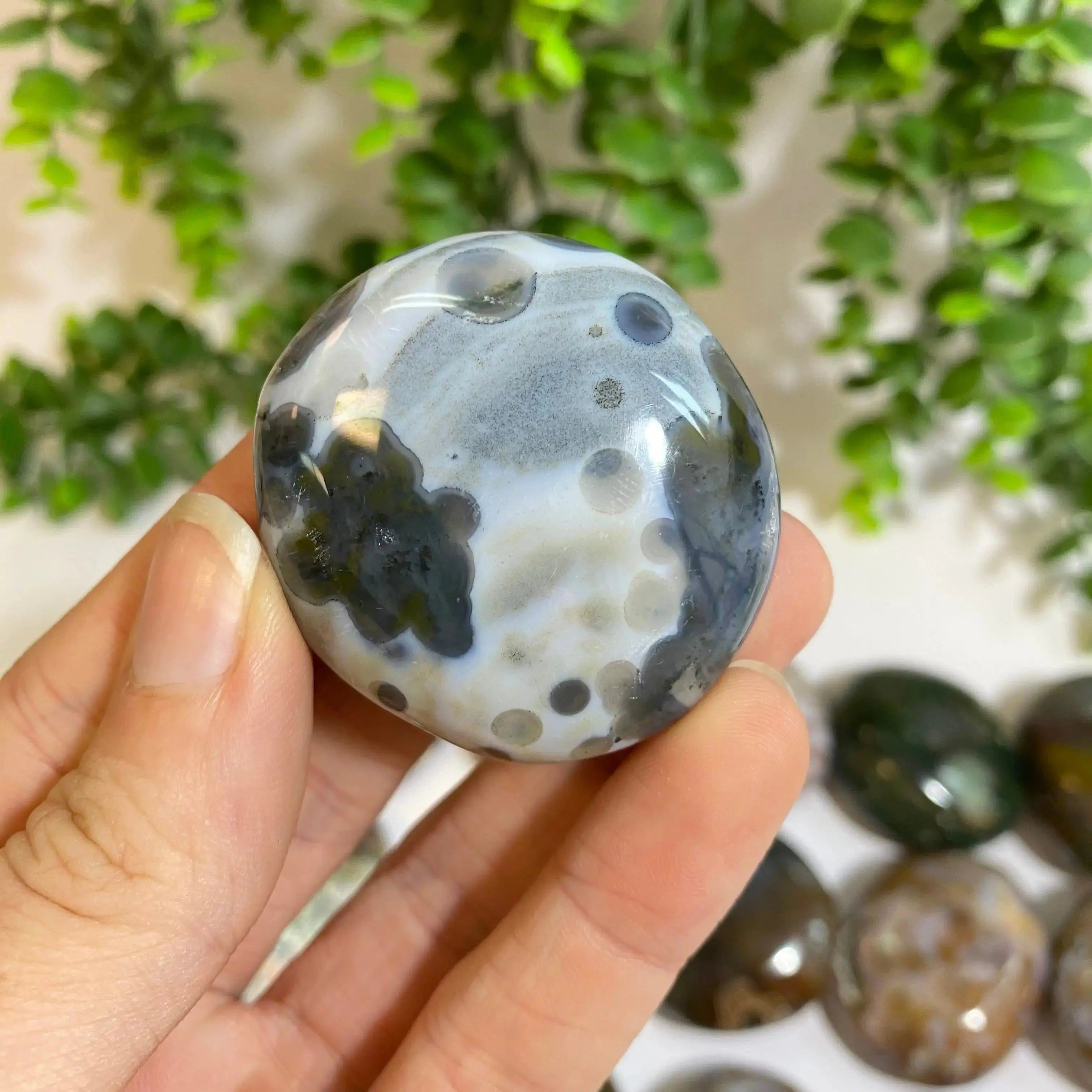 Ocean Jasper Palm Stone Arabella Crystals