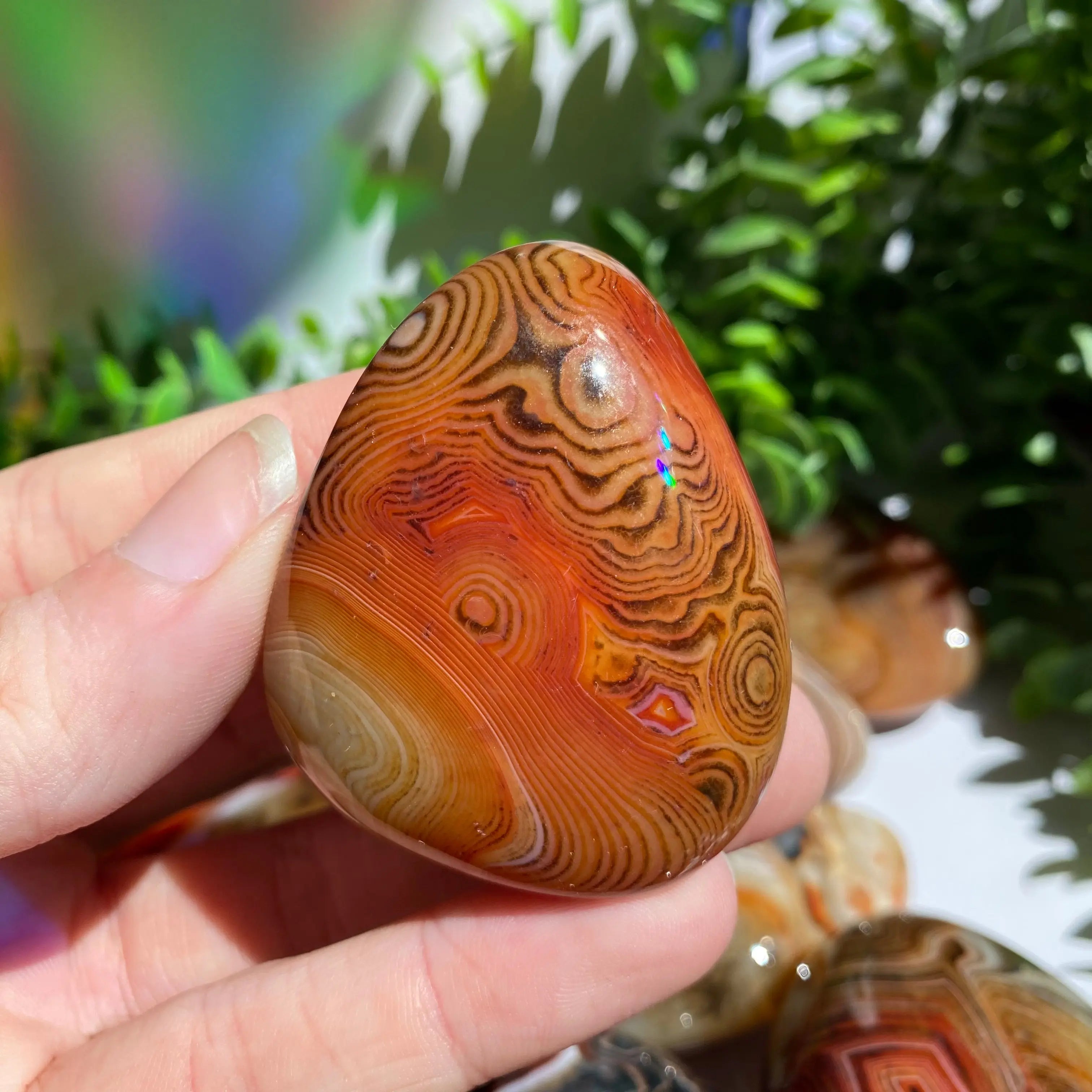 Sardonyx (Carnelian X Onyx) Palm Stone for Passion & Creativity