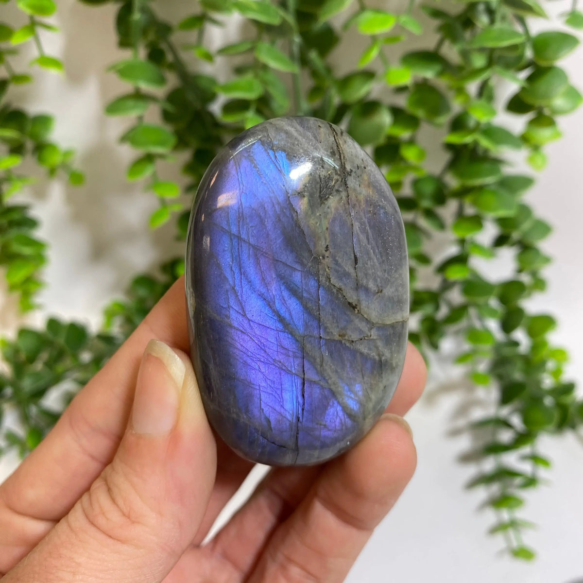 Purple Labradorite Palm Stone Arabella Crystals