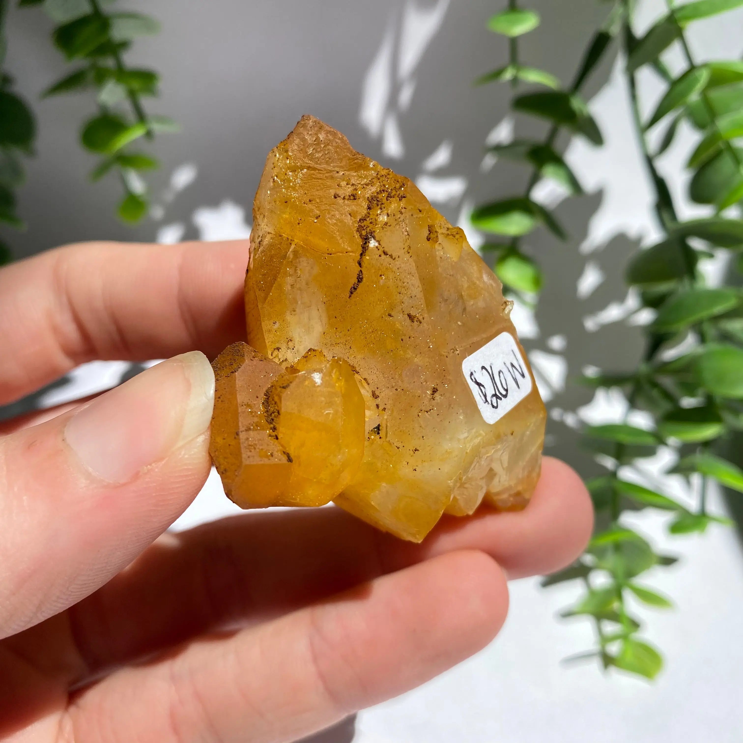 Golden Healer Cluster Arabella Crystals