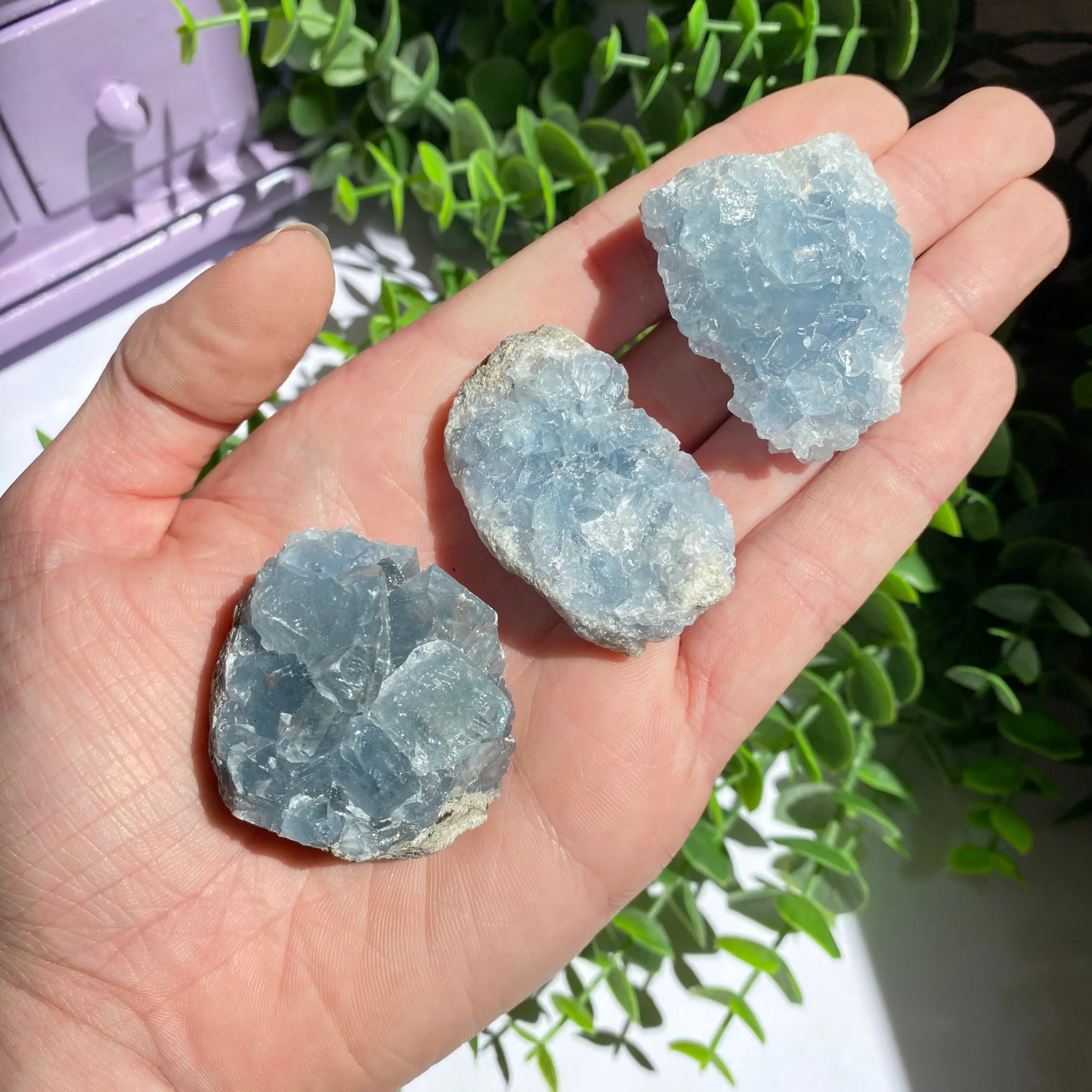 Celestite Cluster Arabella Crystals