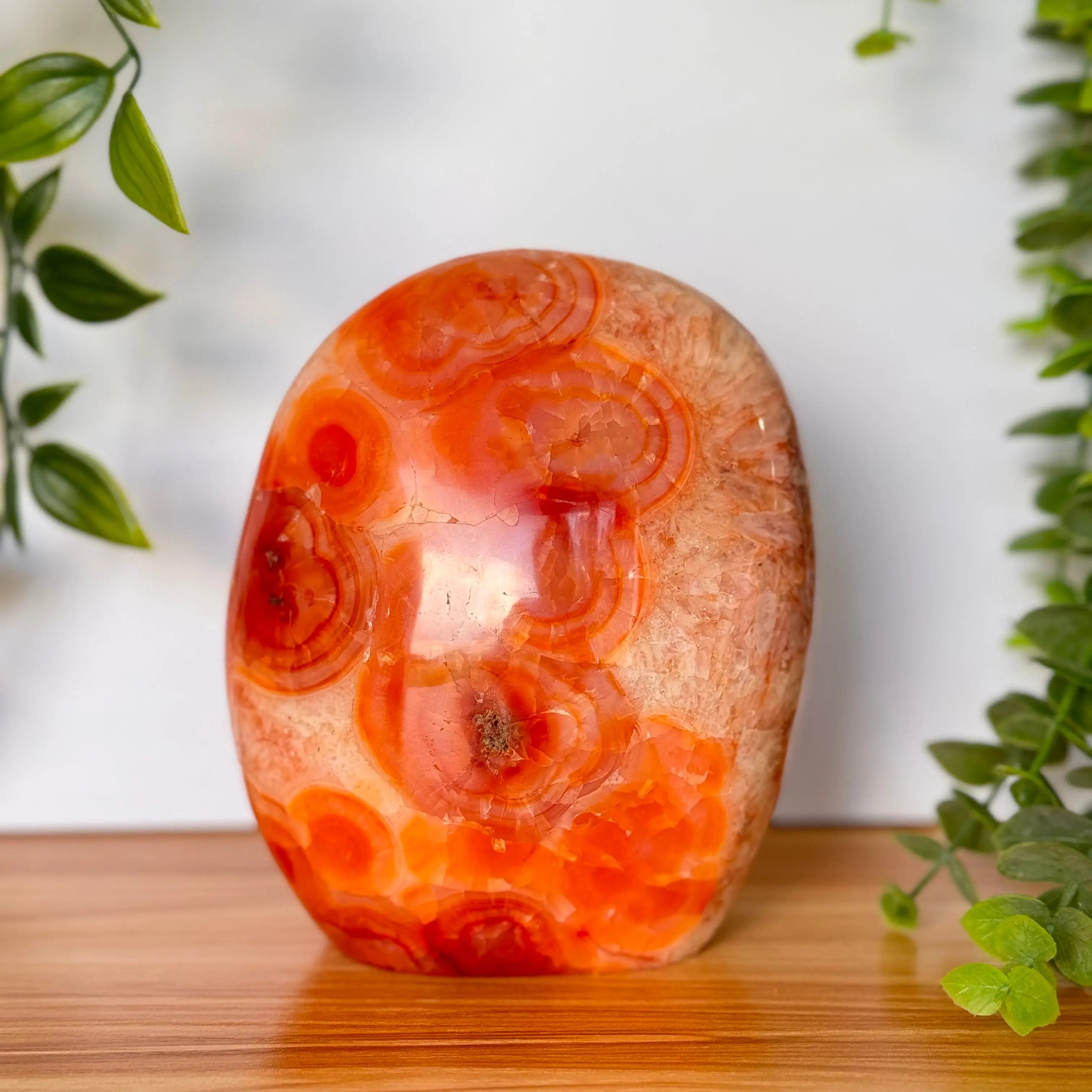 Carnelian Agate Free Form for Passion & Creativity