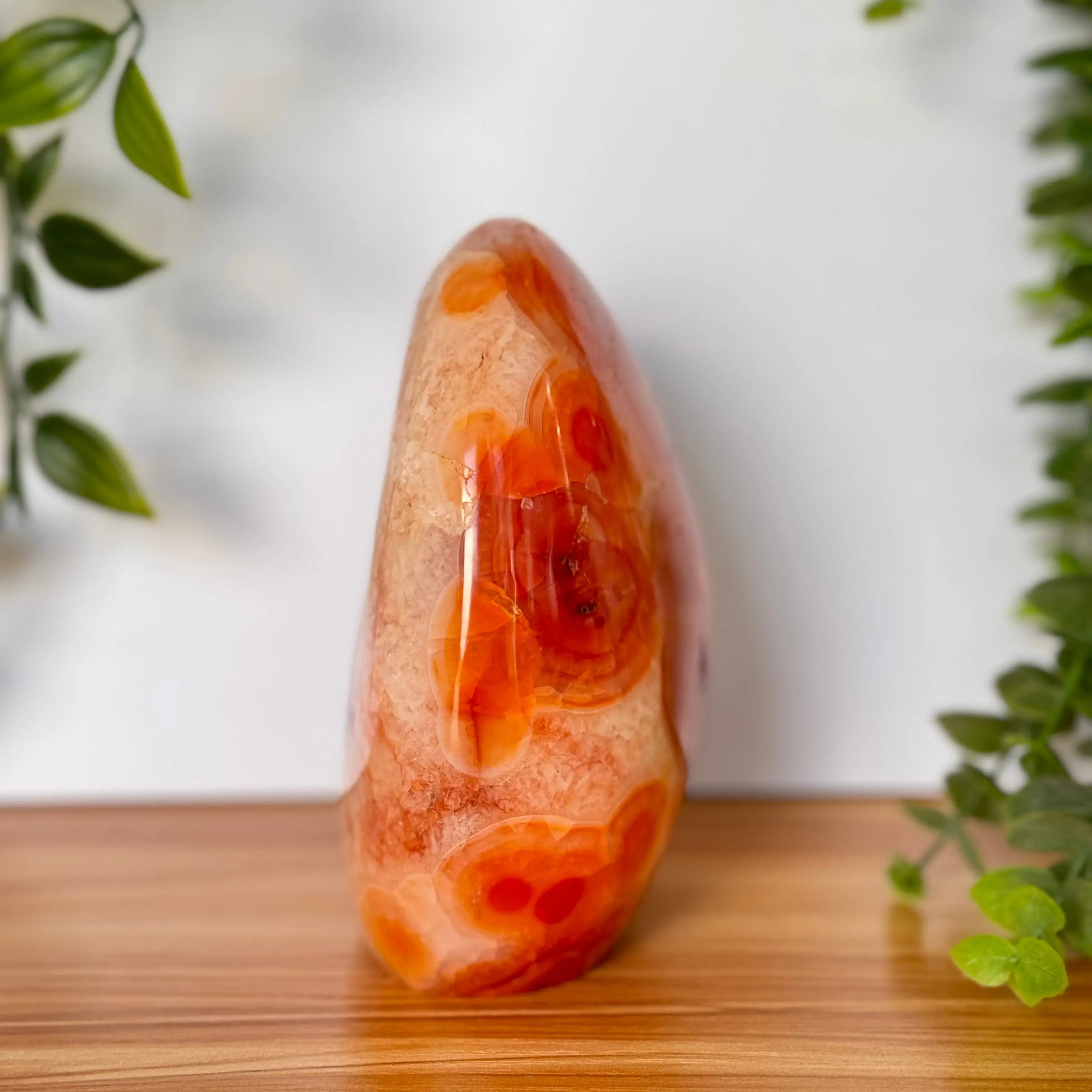 Carnelian Agate Free Form for Passion & Creativity