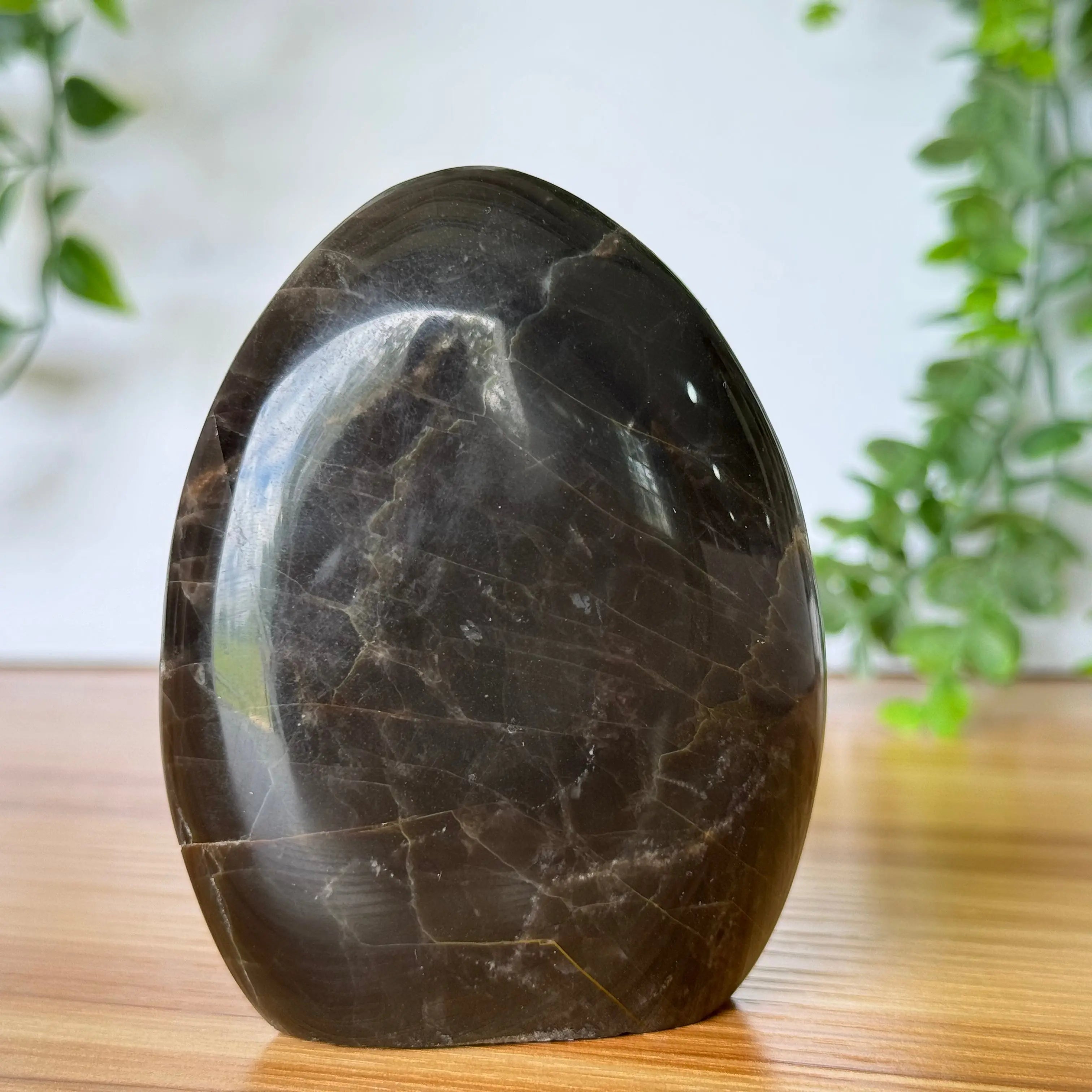 Black Moonstone Free Form Arabella Crystals