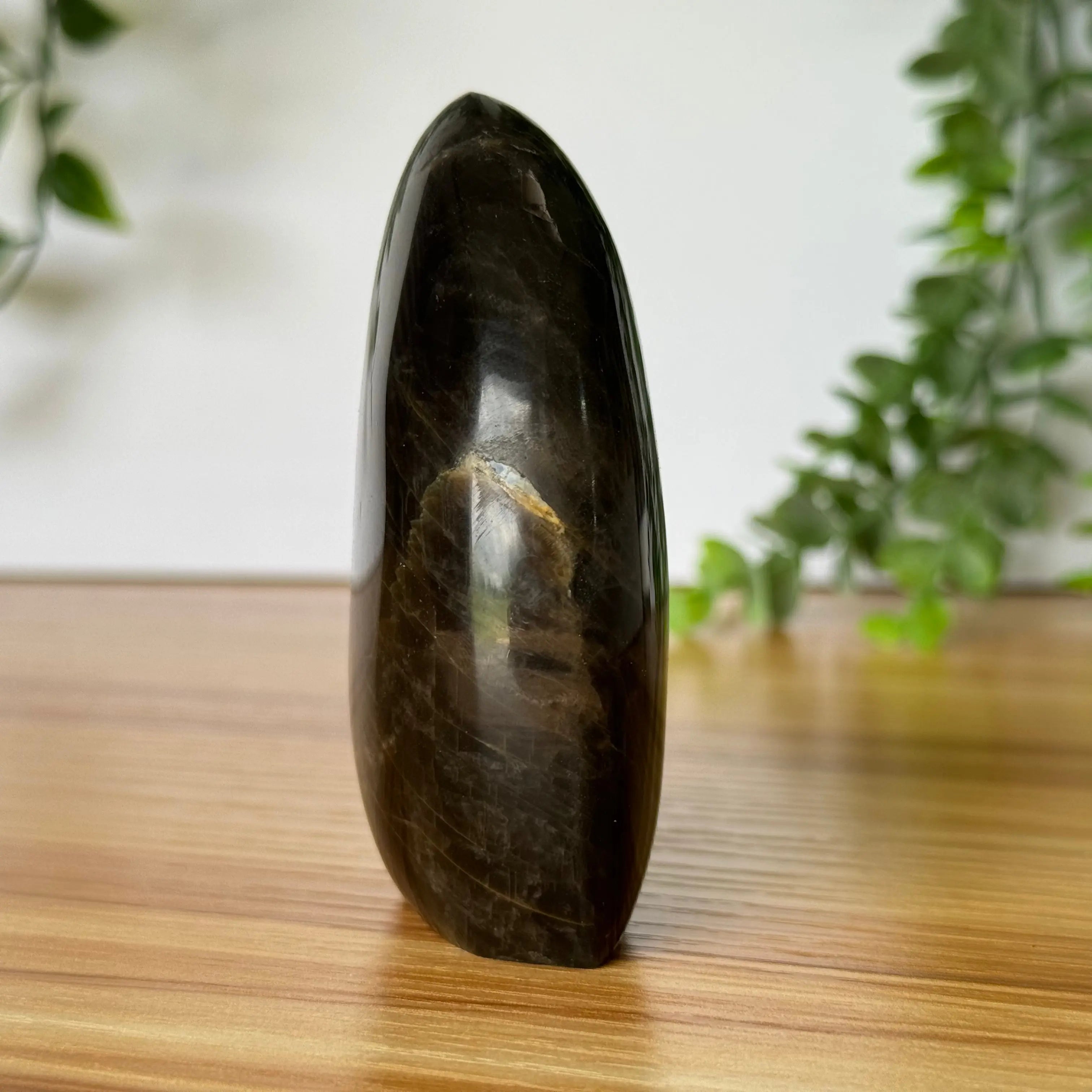 Black Moonstone Free Form Arabella Crystals