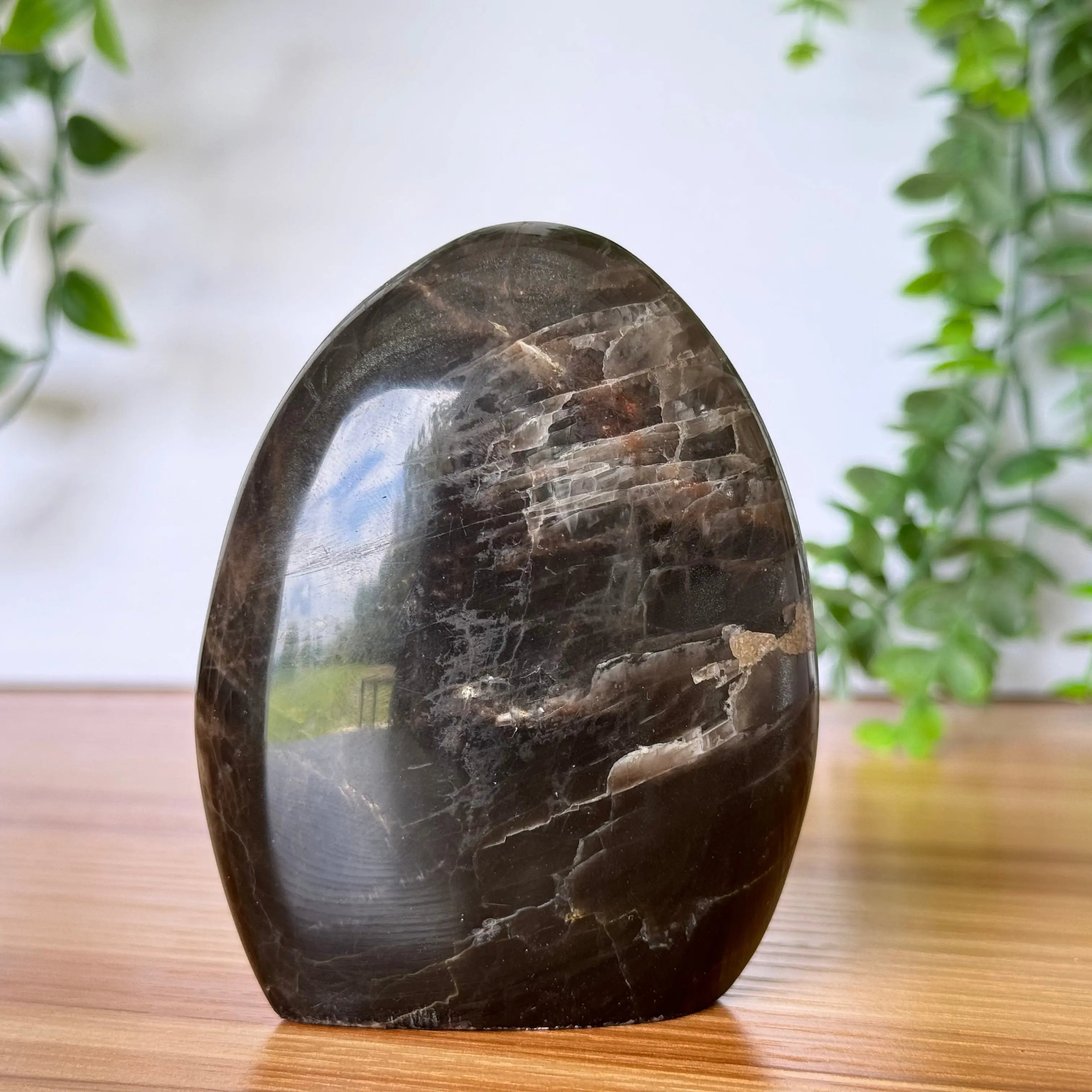Black Moonstone Free Form Arabella Crystals
