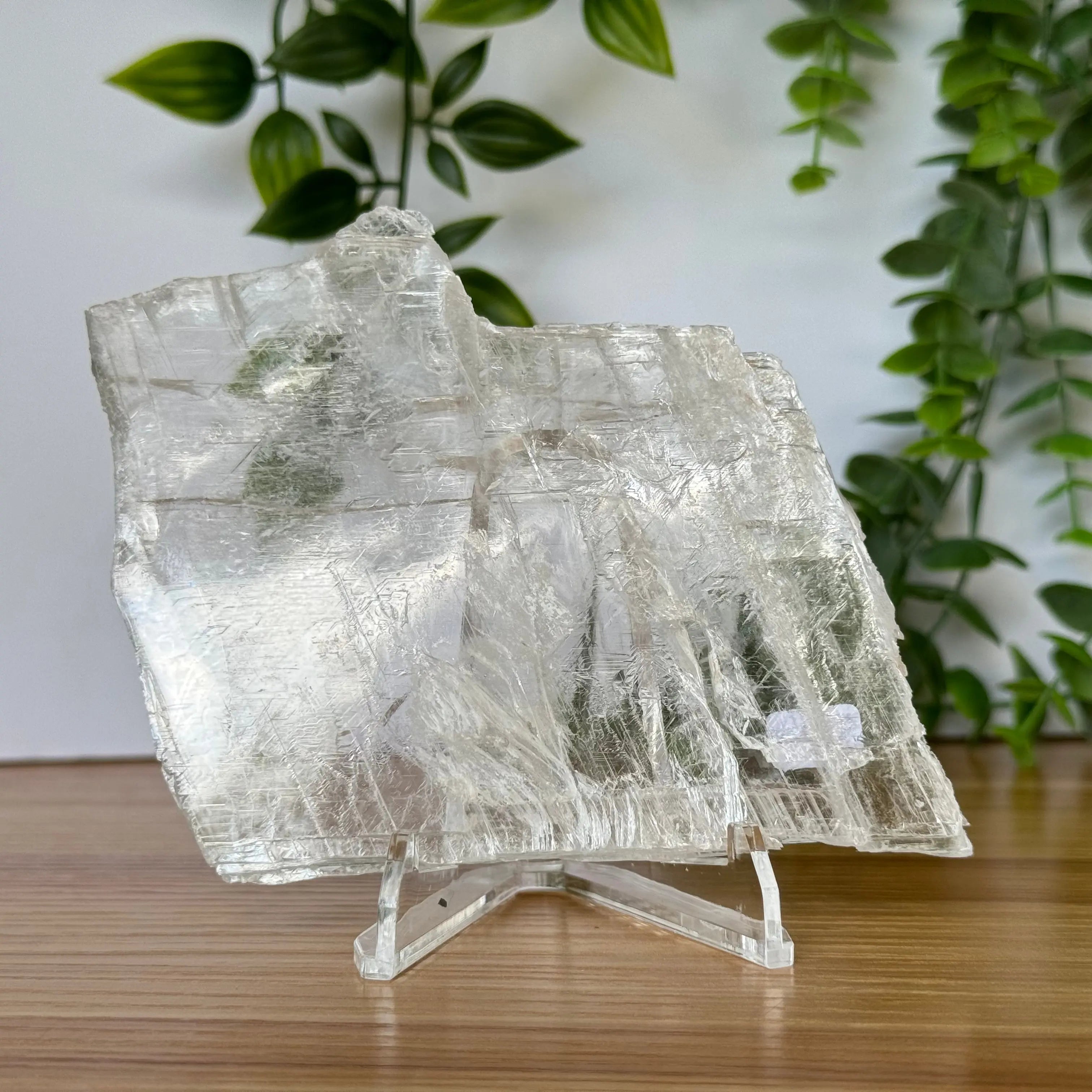 Selenite Slice Arabella Crystals