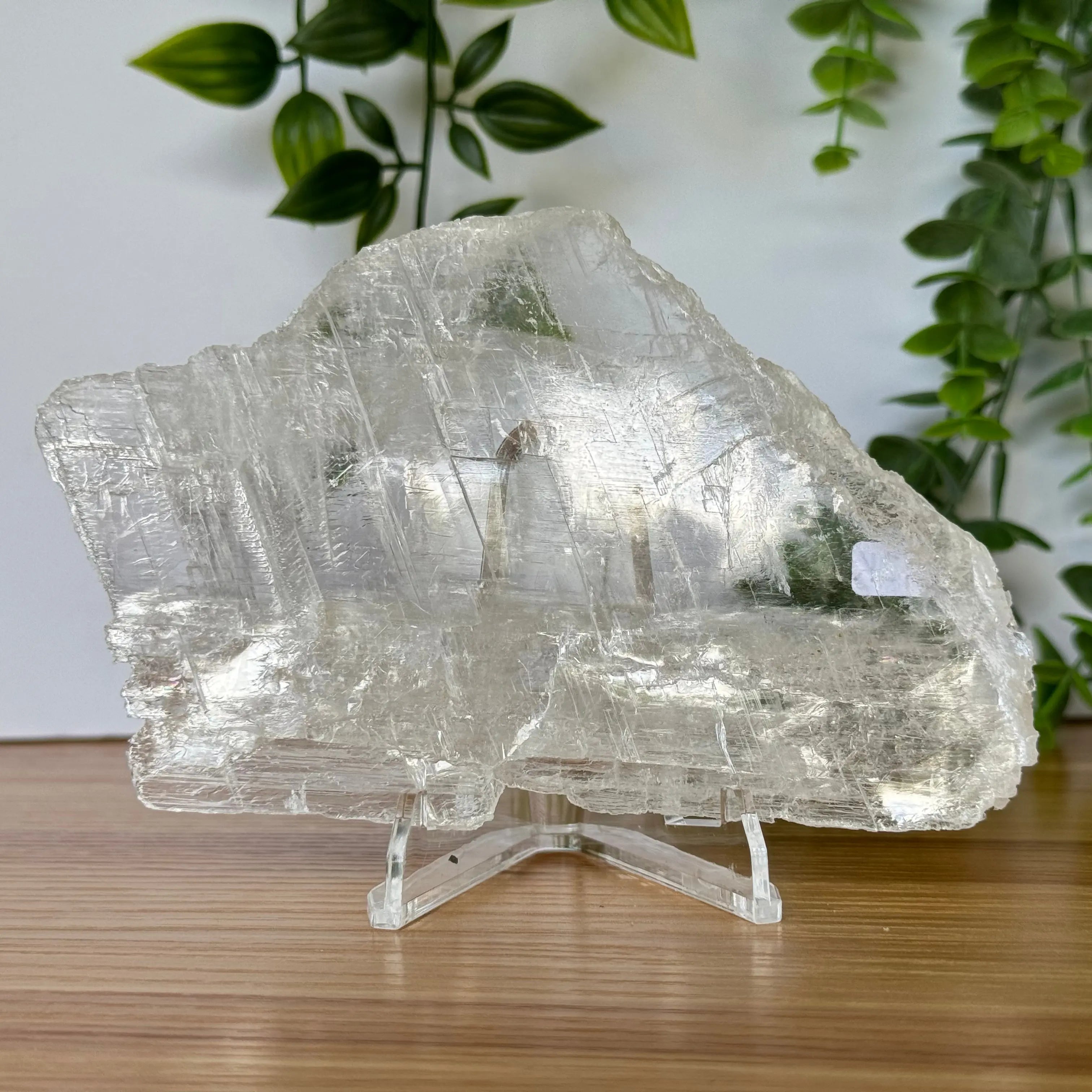 Selenite Slice Arabella Crystals